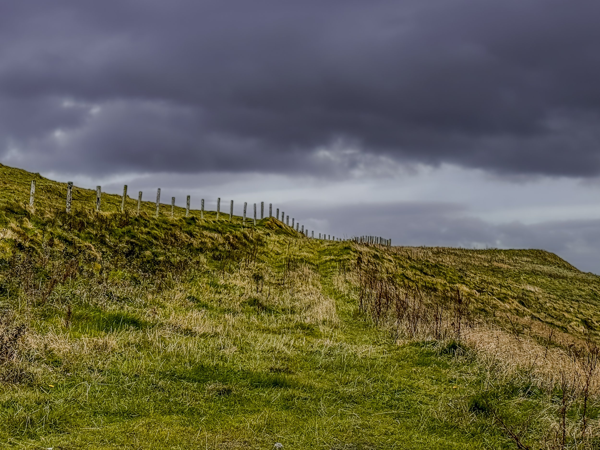 Irish Field
