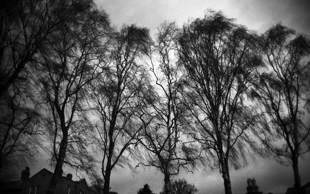  Ireland. Dublin, 2008. 