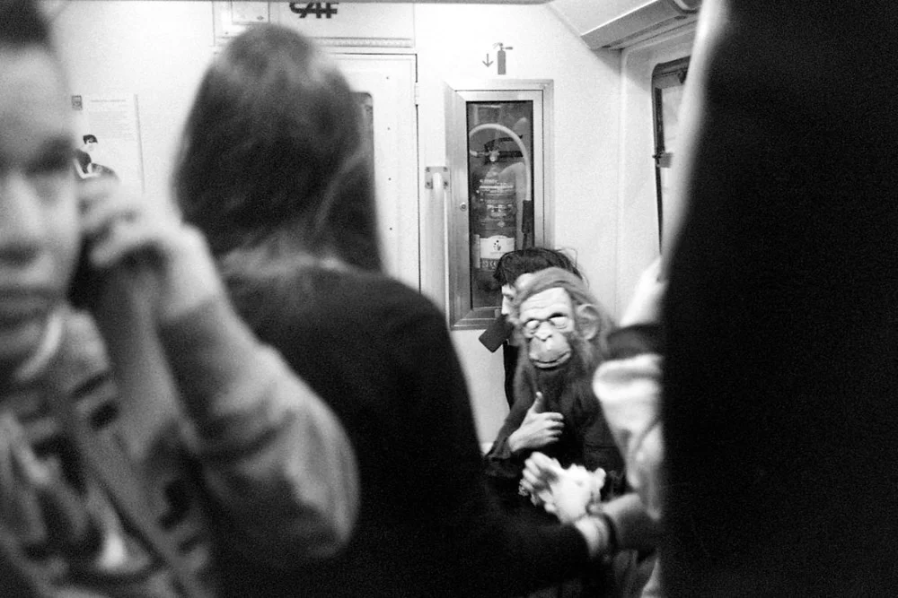  Spain. Madrid, 2013. 