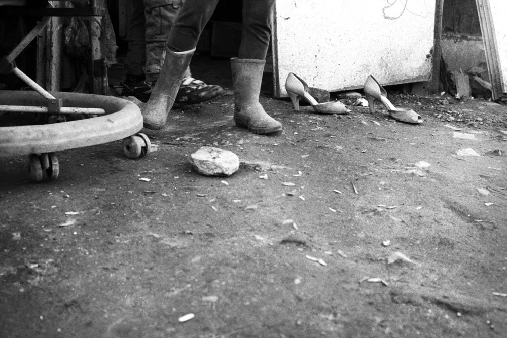  Albania. Tirana, 2009. 