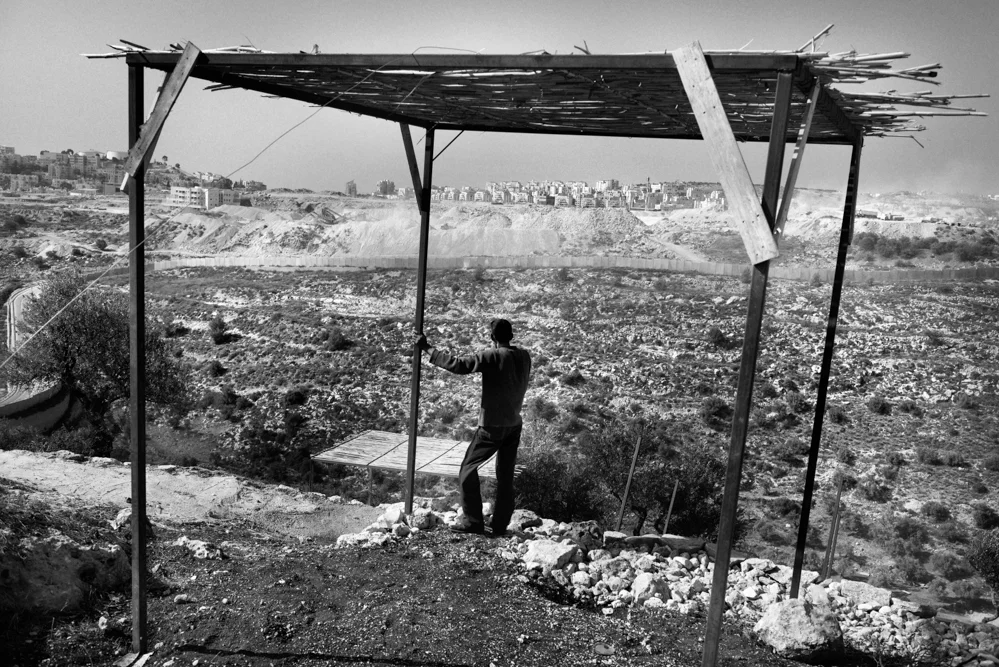  A Palestinian looking towards to Modi'in settlement and the separation wall. Bil'in; Palestinian Territories. 