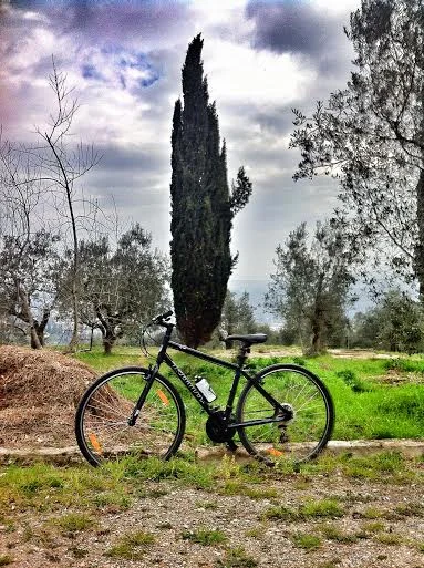 Bike Tours in Tuscany from Florence- get active on your vacation!