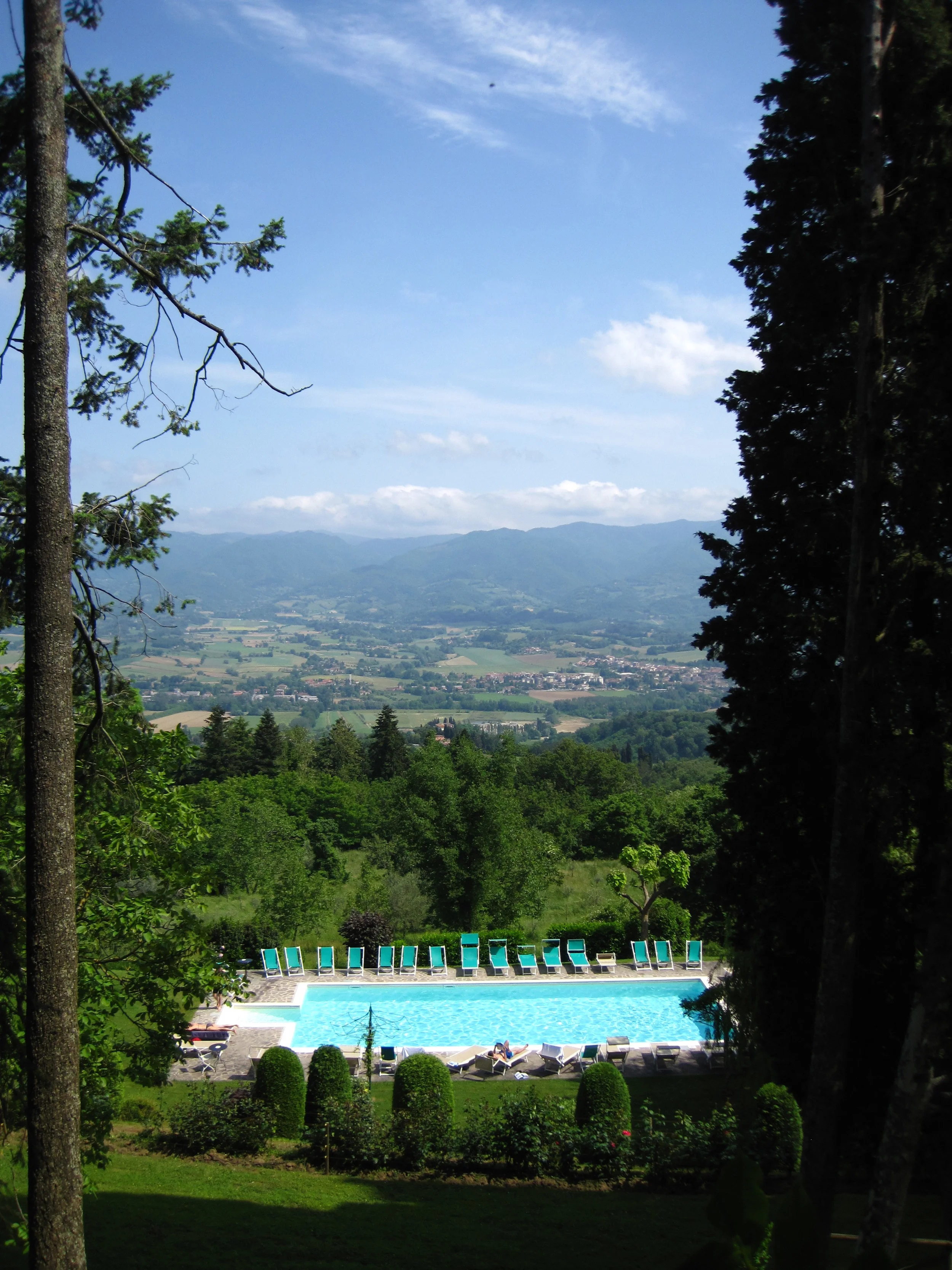 Tuscan Olive Oil- how to pick the best olive oil