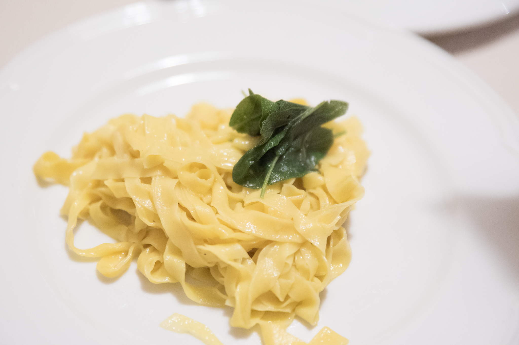 Fresh Pasta Making Lesson in Florence — Curious Appetite