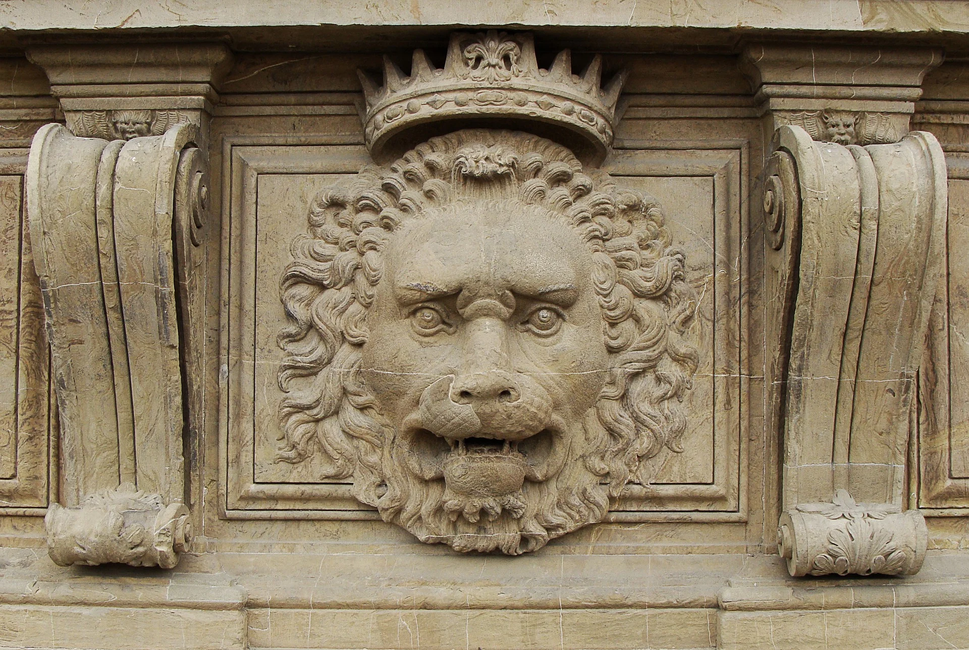 lion-2547054_1920.jpg