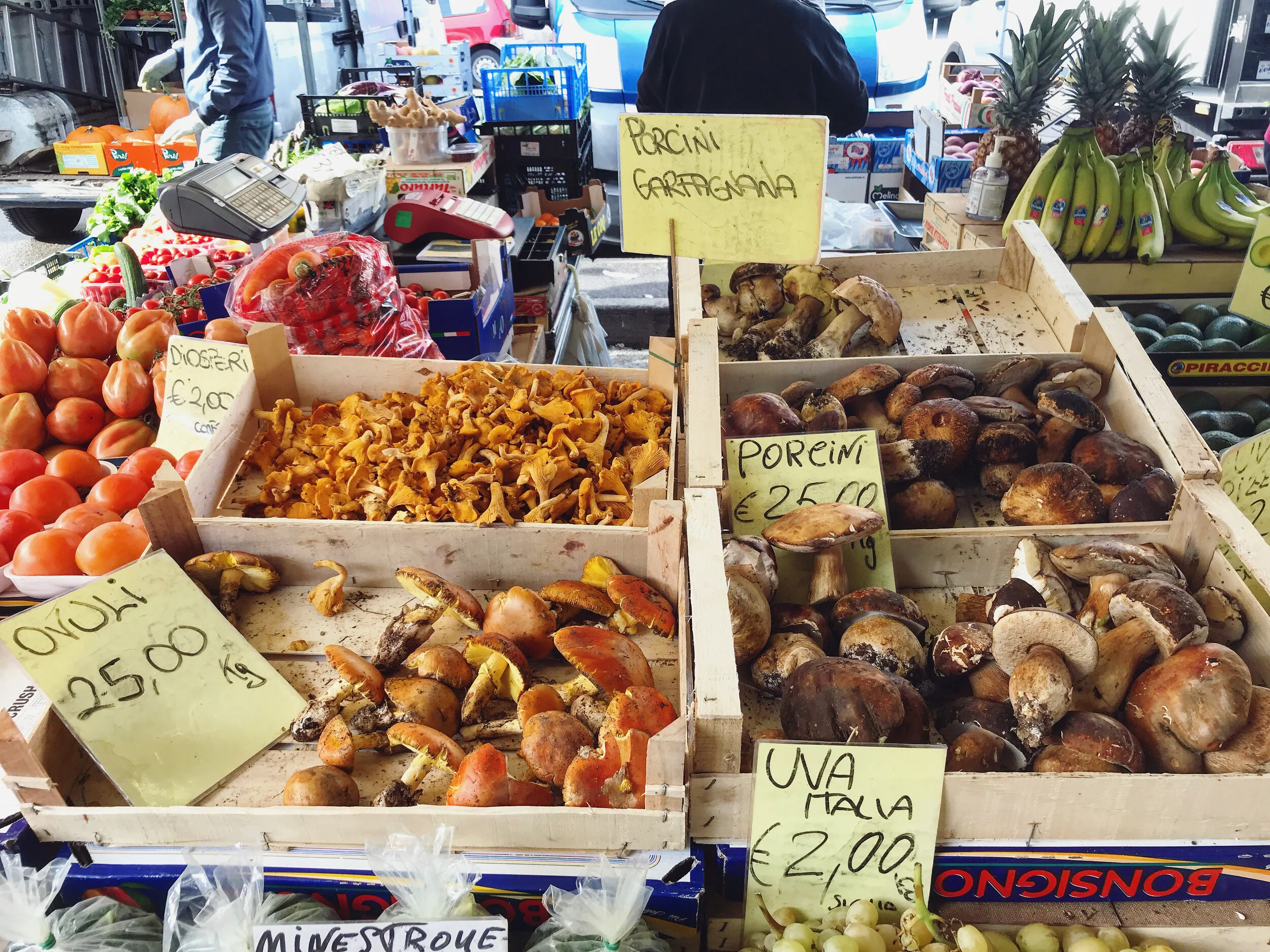 10 ways to cook with porcini mushrooms 