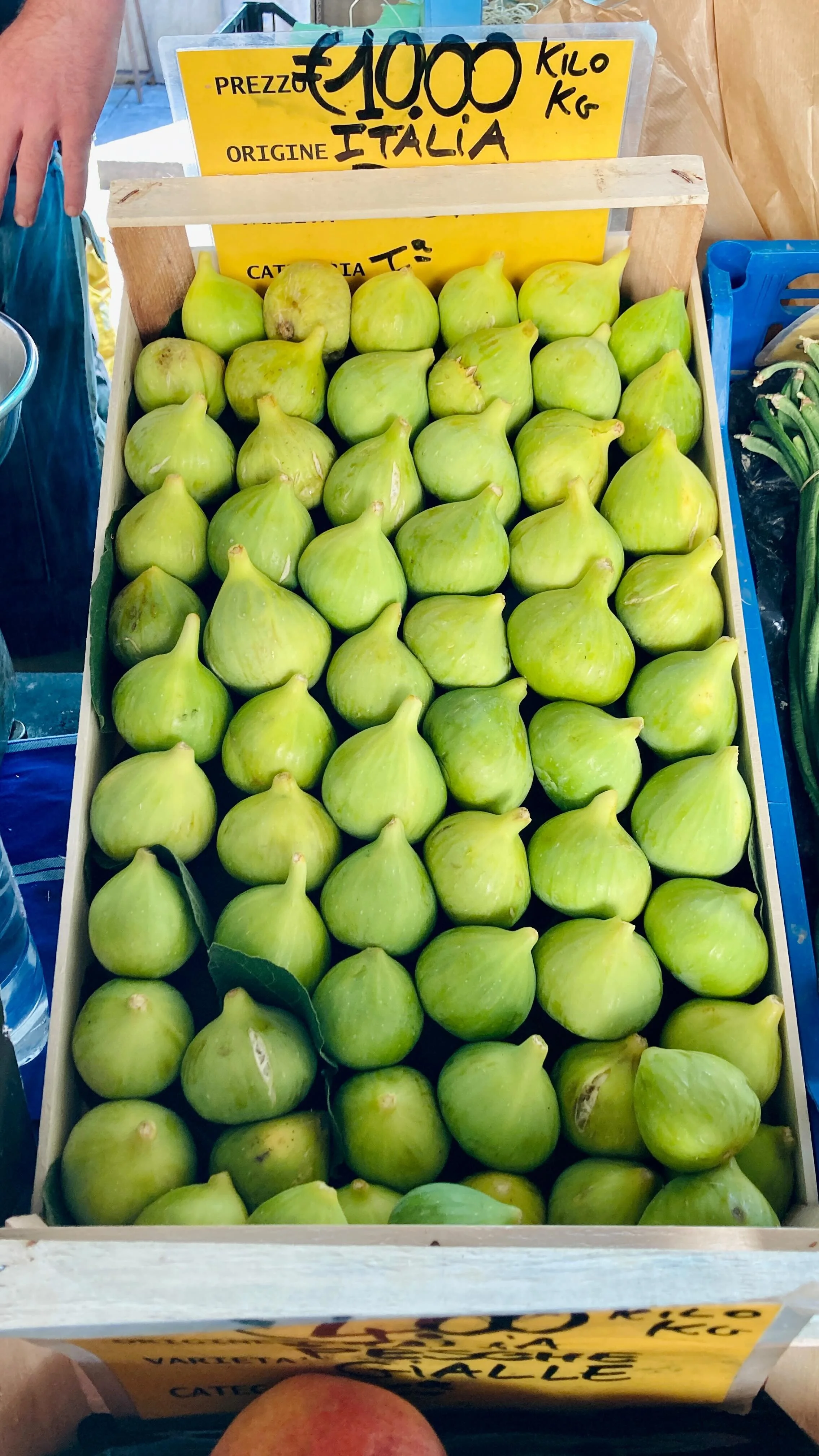 Where to get great coffee and espresso in Florence, Italy — Curious