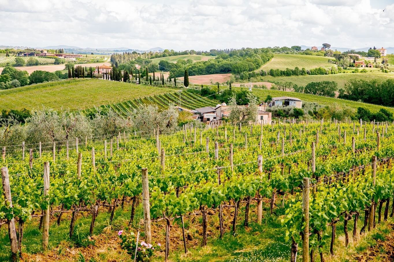 Visiting Italy soon? Swipe away the dread of Mondays with these postcards from Tuscany&rsquo;s lush wine country (that could also pass for the OG Microsoft wallpaper 🖼️) 

Before the travel season gets too crazy, the team tries to get OOO to check o