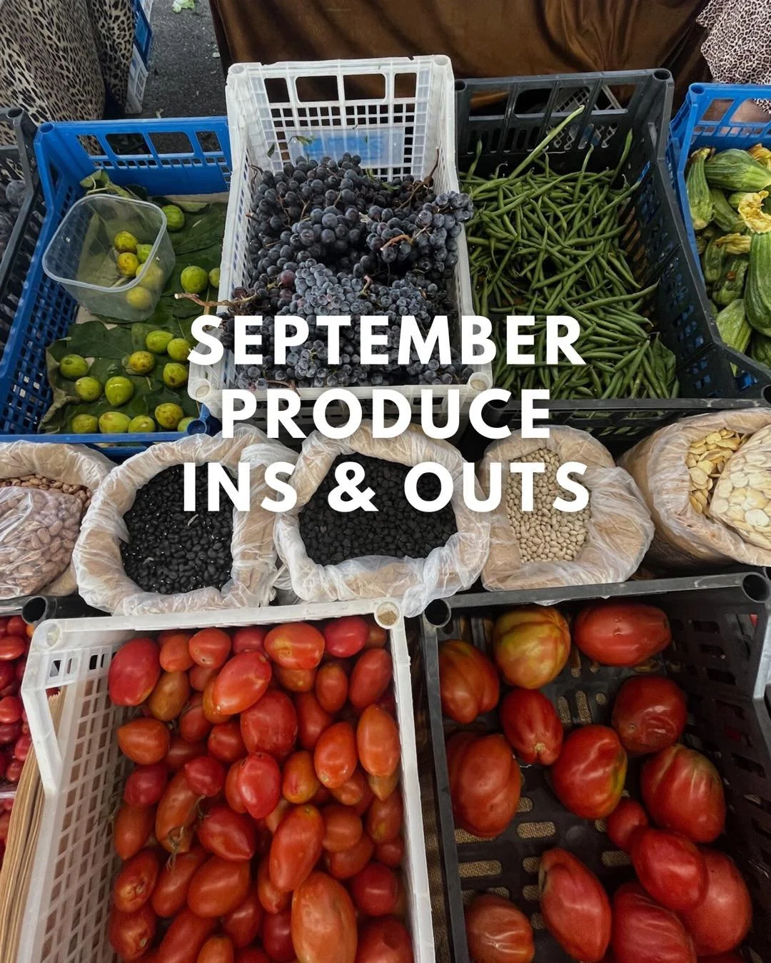 Curious what&rsquo;s in season around Florence markets?

September in Italy = that delicious in-between moment when summer flavors fade and fall produce arrives. ☀️➡🍂

Slowly saying ciao to:🌶️ Peppers 🌼 Zucchini + zucchini flowers 🍆 Eggplant 🍅 T