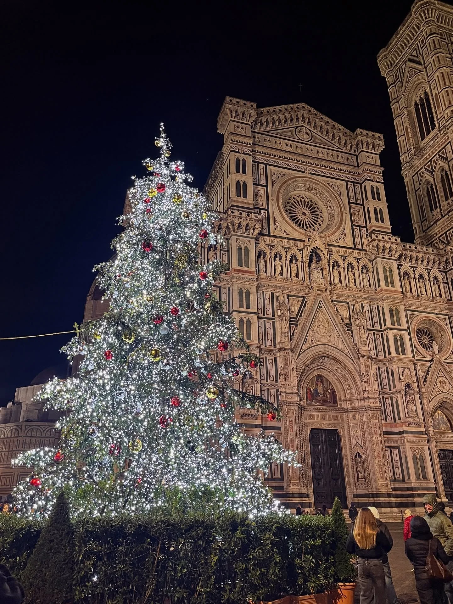 Christmas in Florence by night 💫 

Felt a bit better (enough!) to sneak out for a crisp evening stroll and of course an obligatory stop at @rivoire1872 for a mocha (espresso with their famed thicc hot chocolate) and a side of panna plus a biscotto f