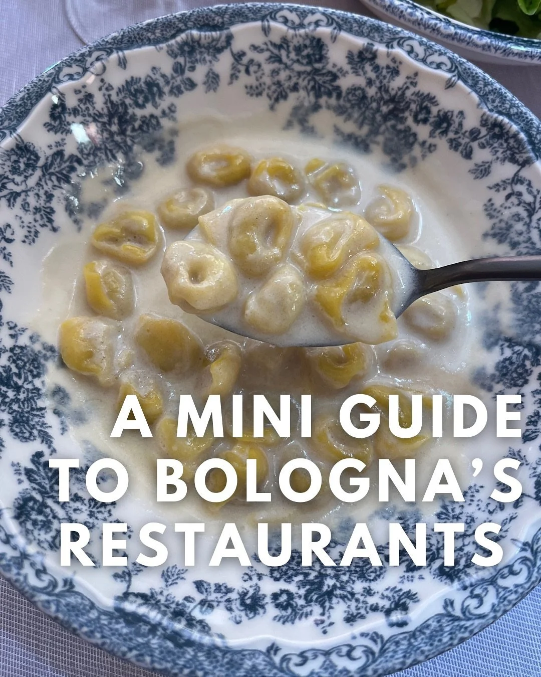 UPDATED FOR 2026, FULL GUIDE VIA 🔗 🌳 IN BIO

Bologna is famously nicknamed &ldquo;La Grassa&rdquo; a tribute to its incredibly rich food culture. One meal here, and you&rsquo;ll understand why&hellip; 

Bologna is a city where traditions run deep, 