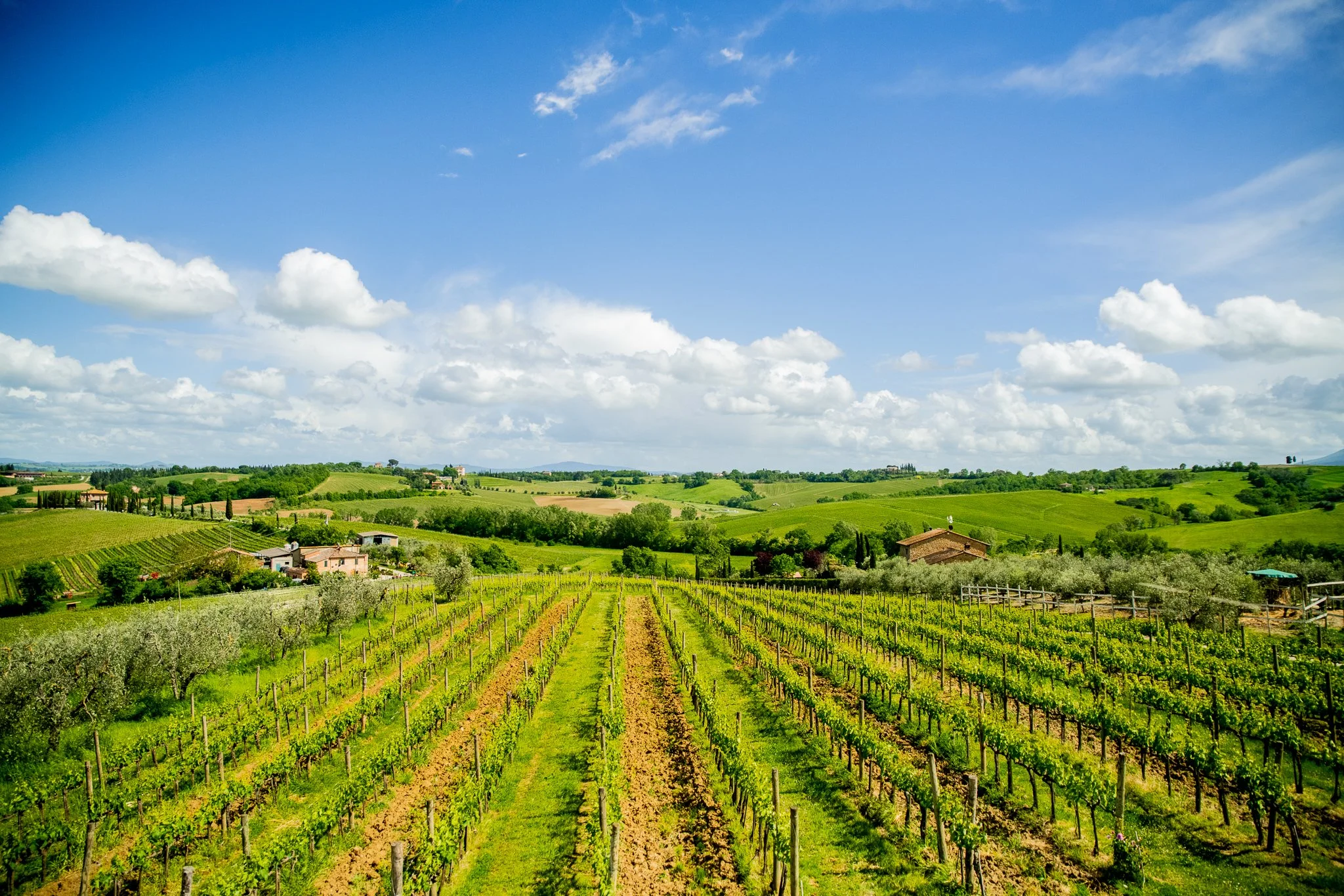 Swirl through Tuscan wine country!