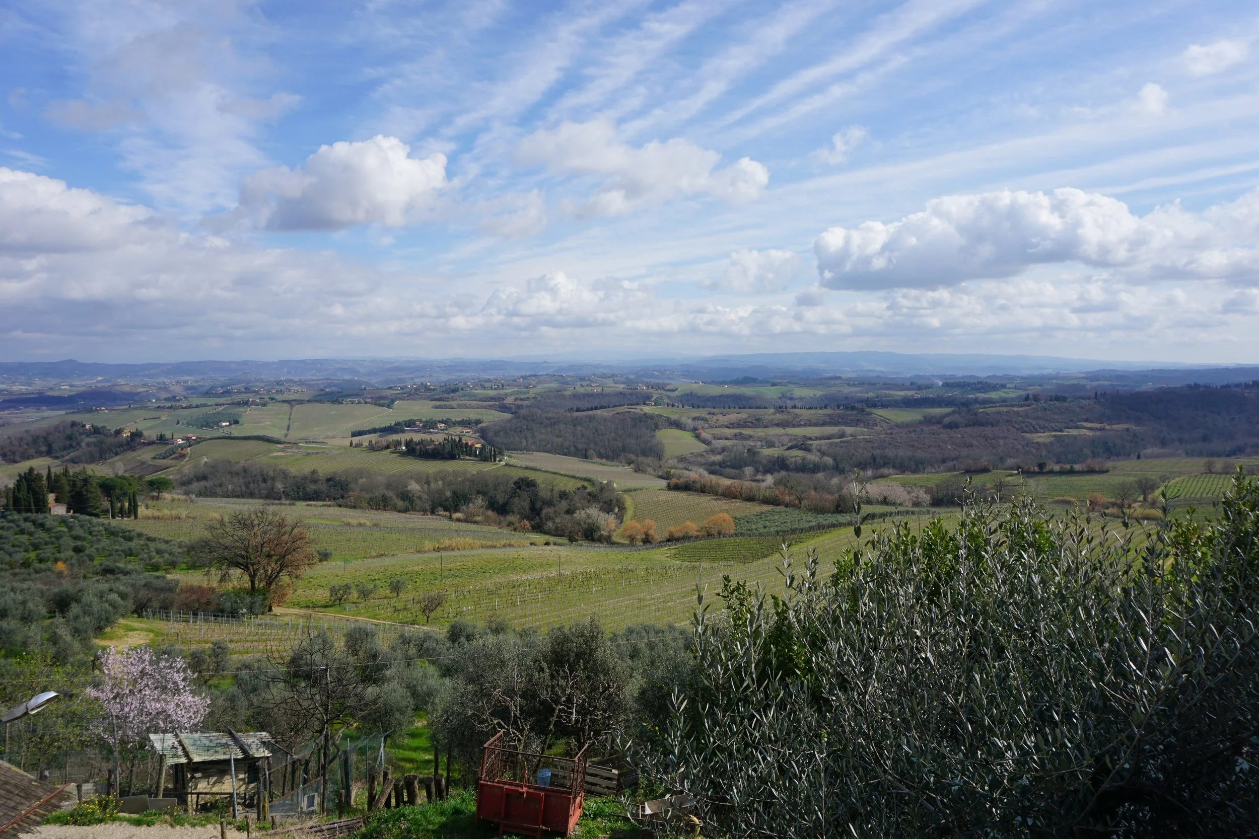 DSC03537.JPG