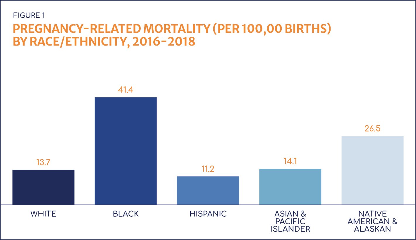 Graph showing pregnancy-related mortality, sorted by race and ethnicity