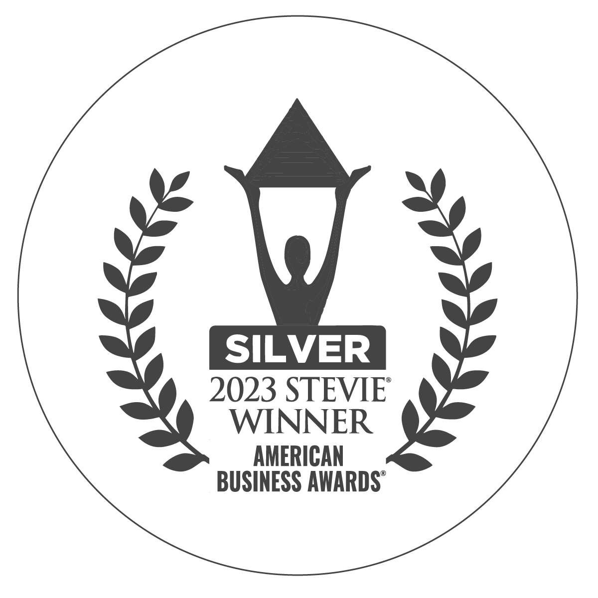 award-Silver-Stevie.png