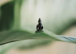 A Season for Self Care