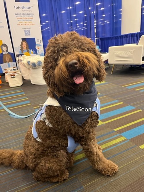 Javika, the first dog to attend the SDMS Annual Conference, helped tell sonographers about work from home job opportunities