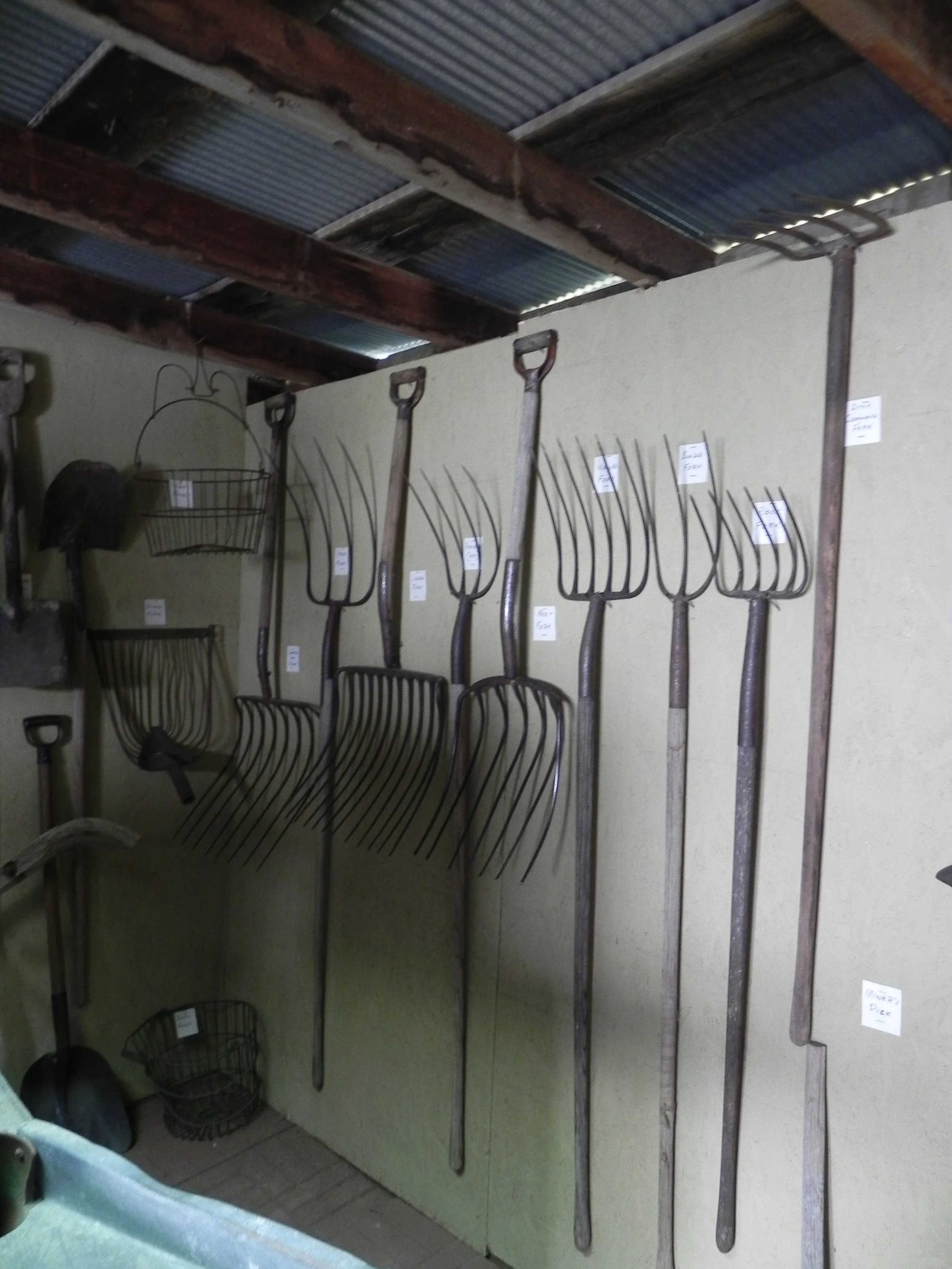 forks 2.JPG