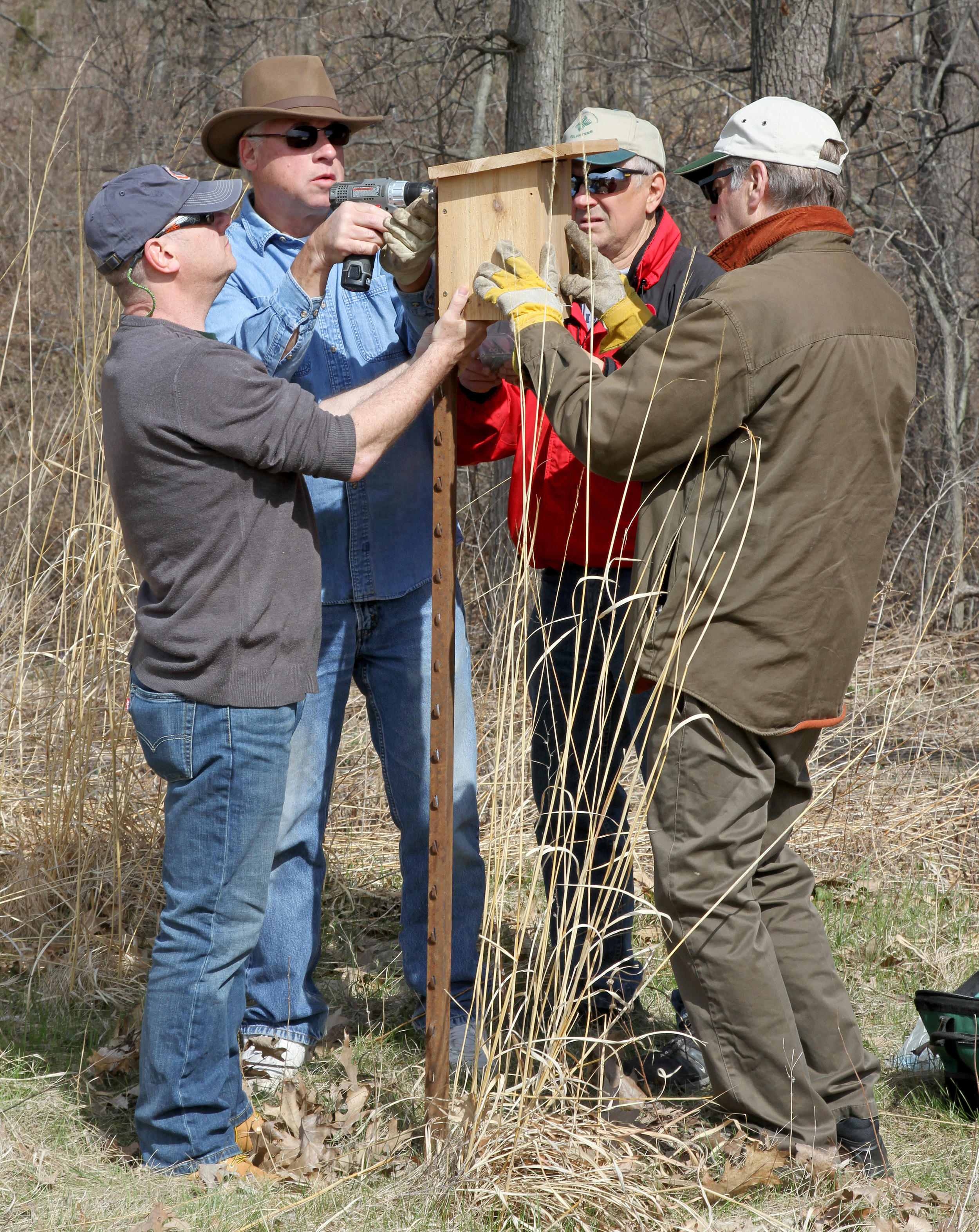 New Bluebird boxes at Oak Openings