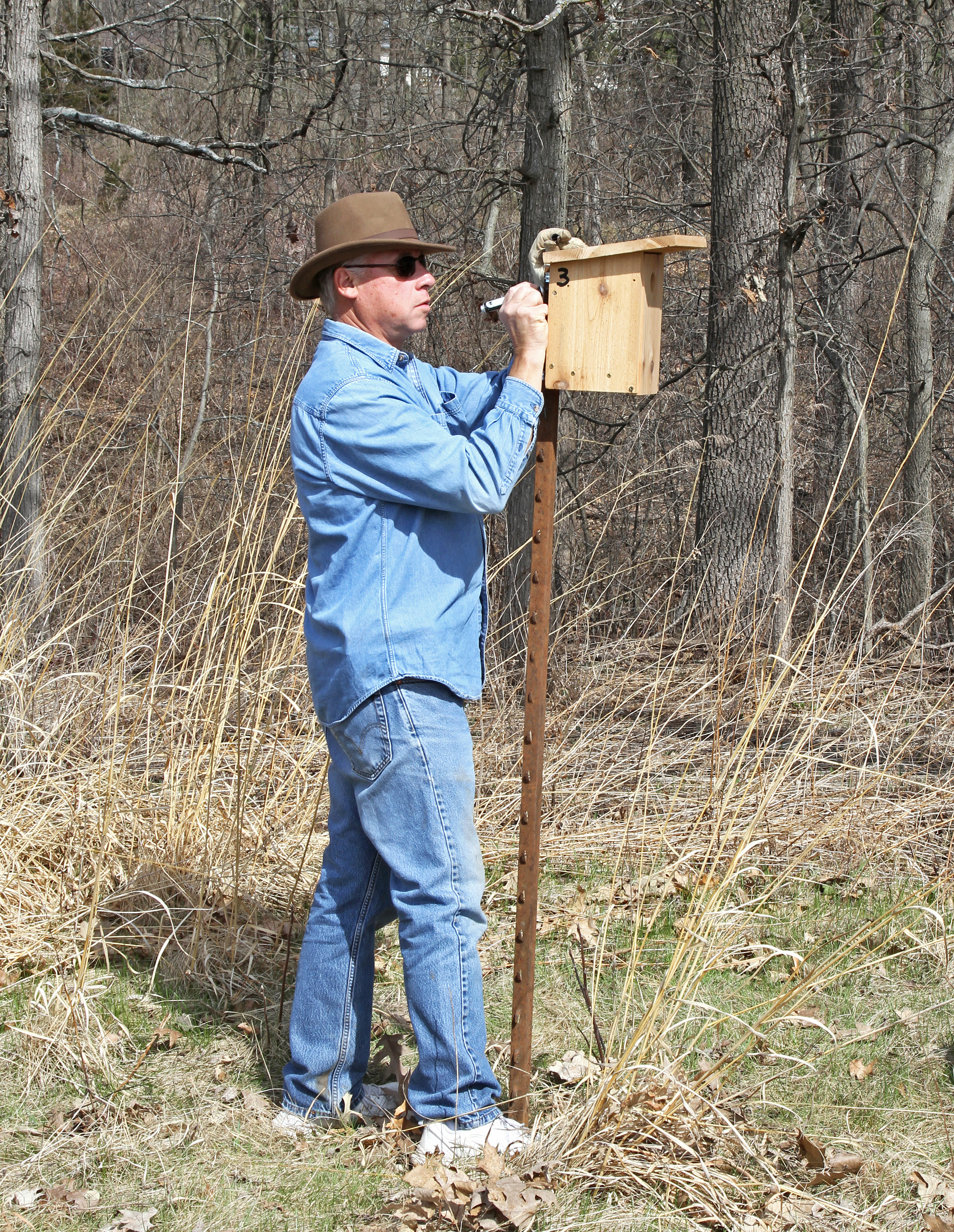 New Bluebird boxes at Oak Openings