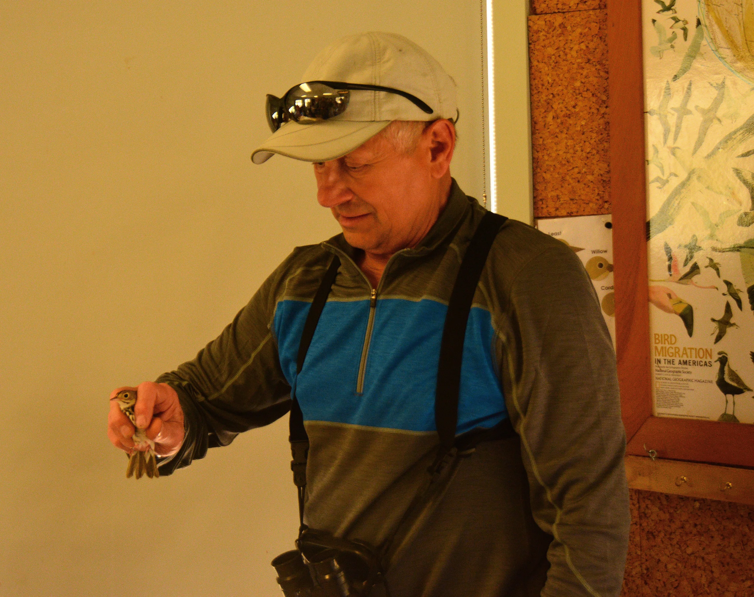 Field Trip to Sand Bluff Bird Observatory