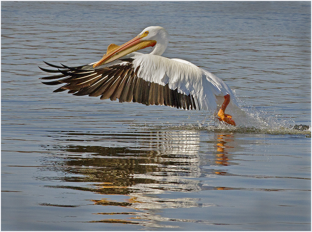 Take Off