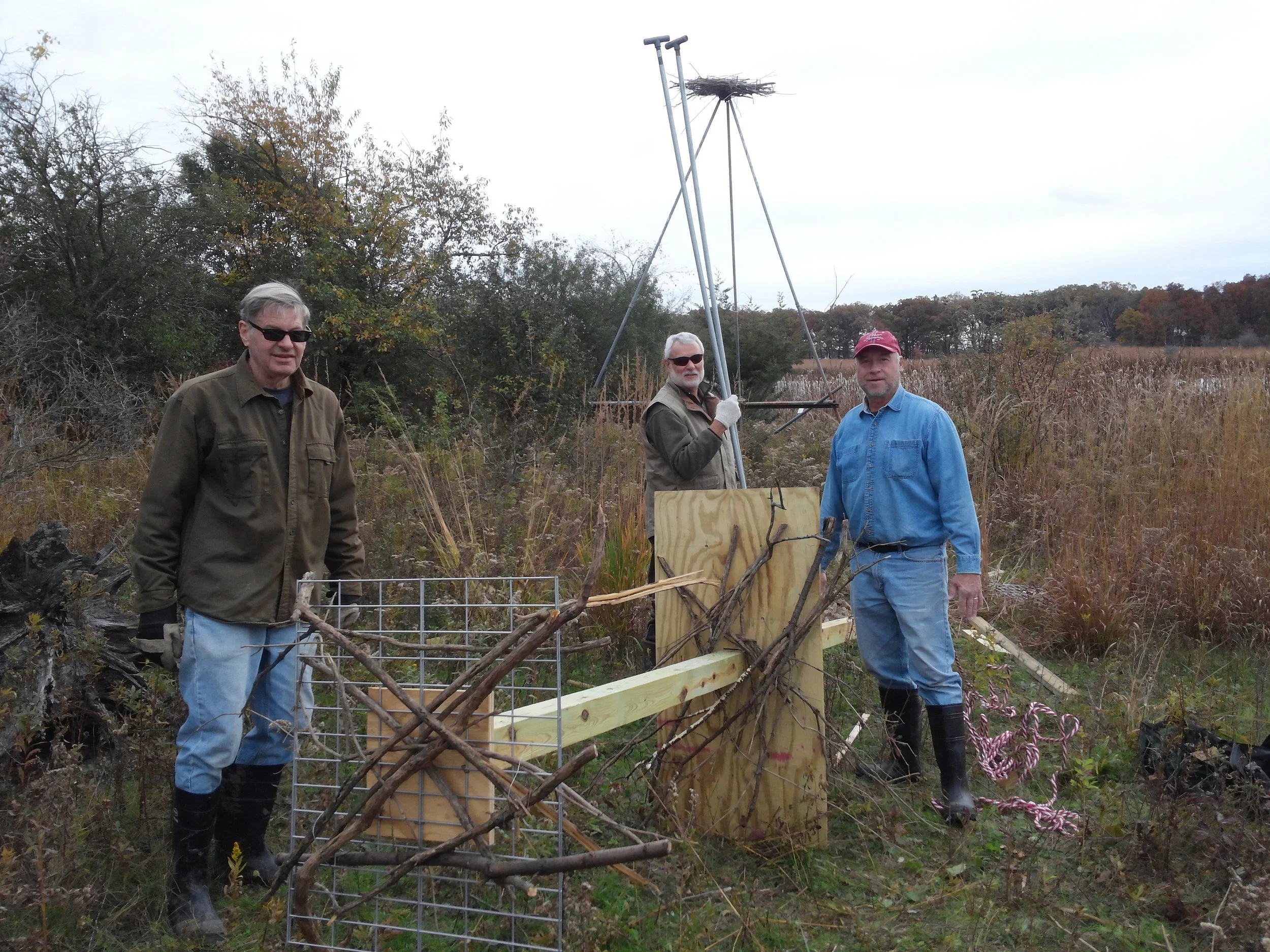 Heron platform installation at Almond Marsh