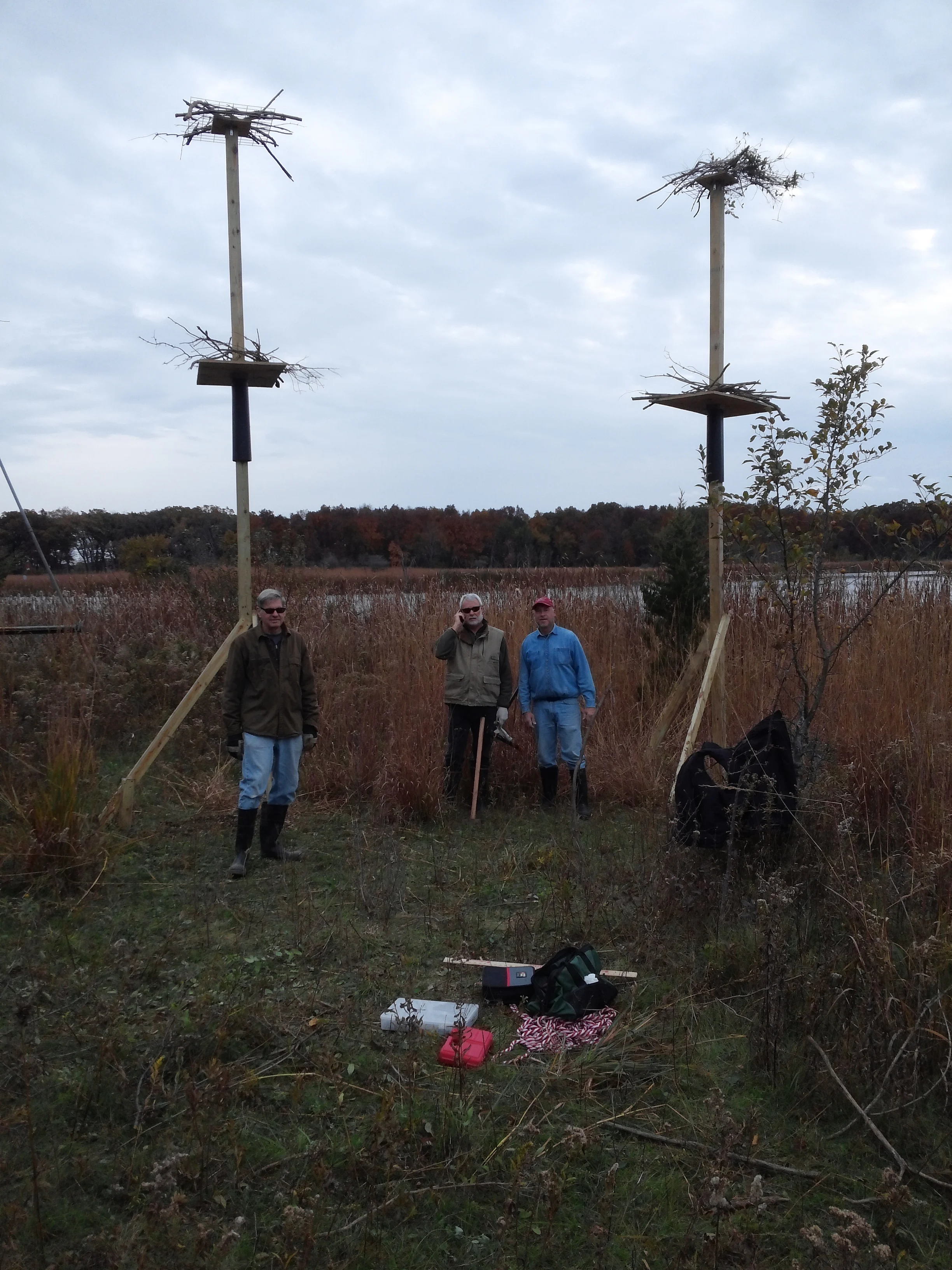 Heron platform installation at Almond Marsh