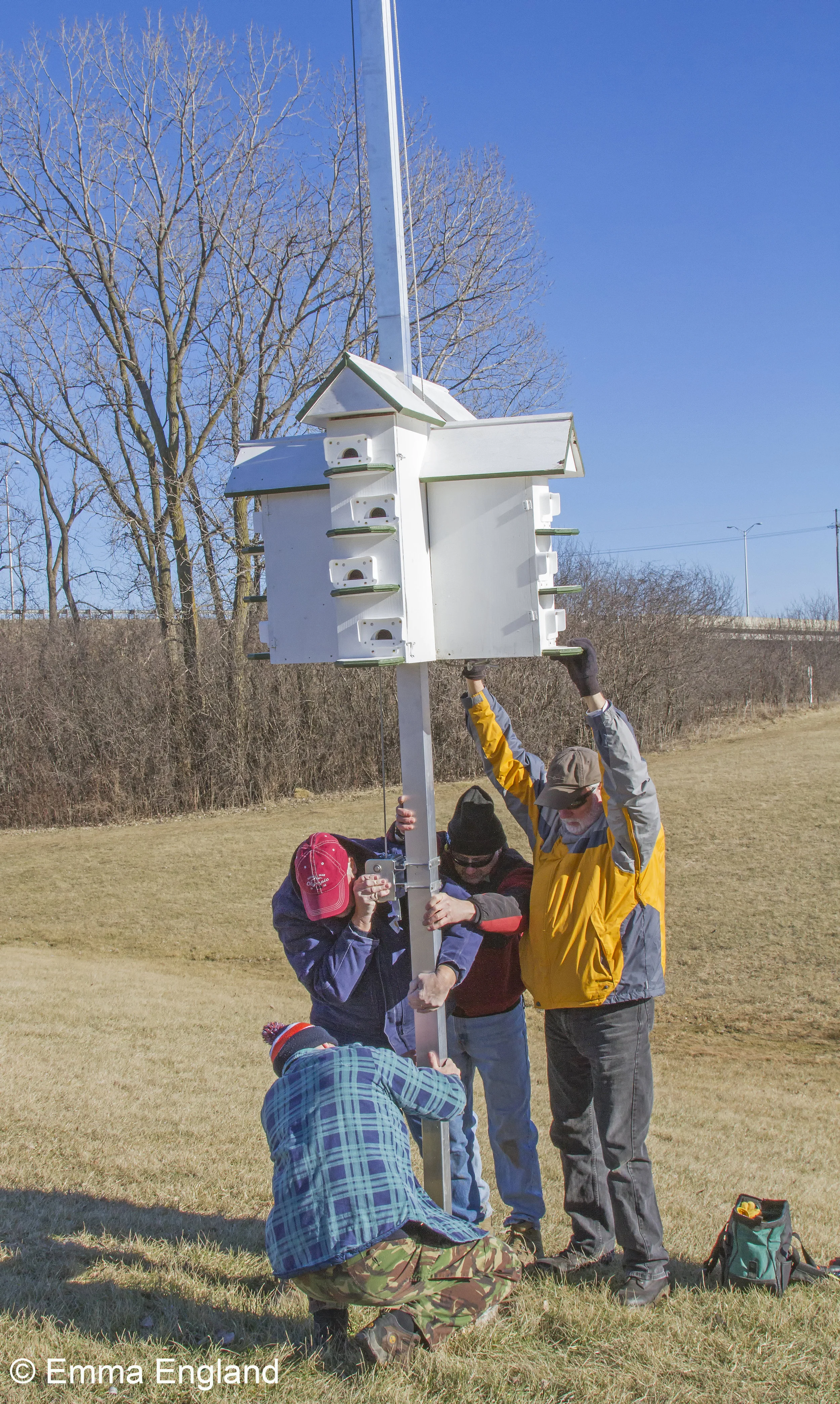 Purple Martin house installation