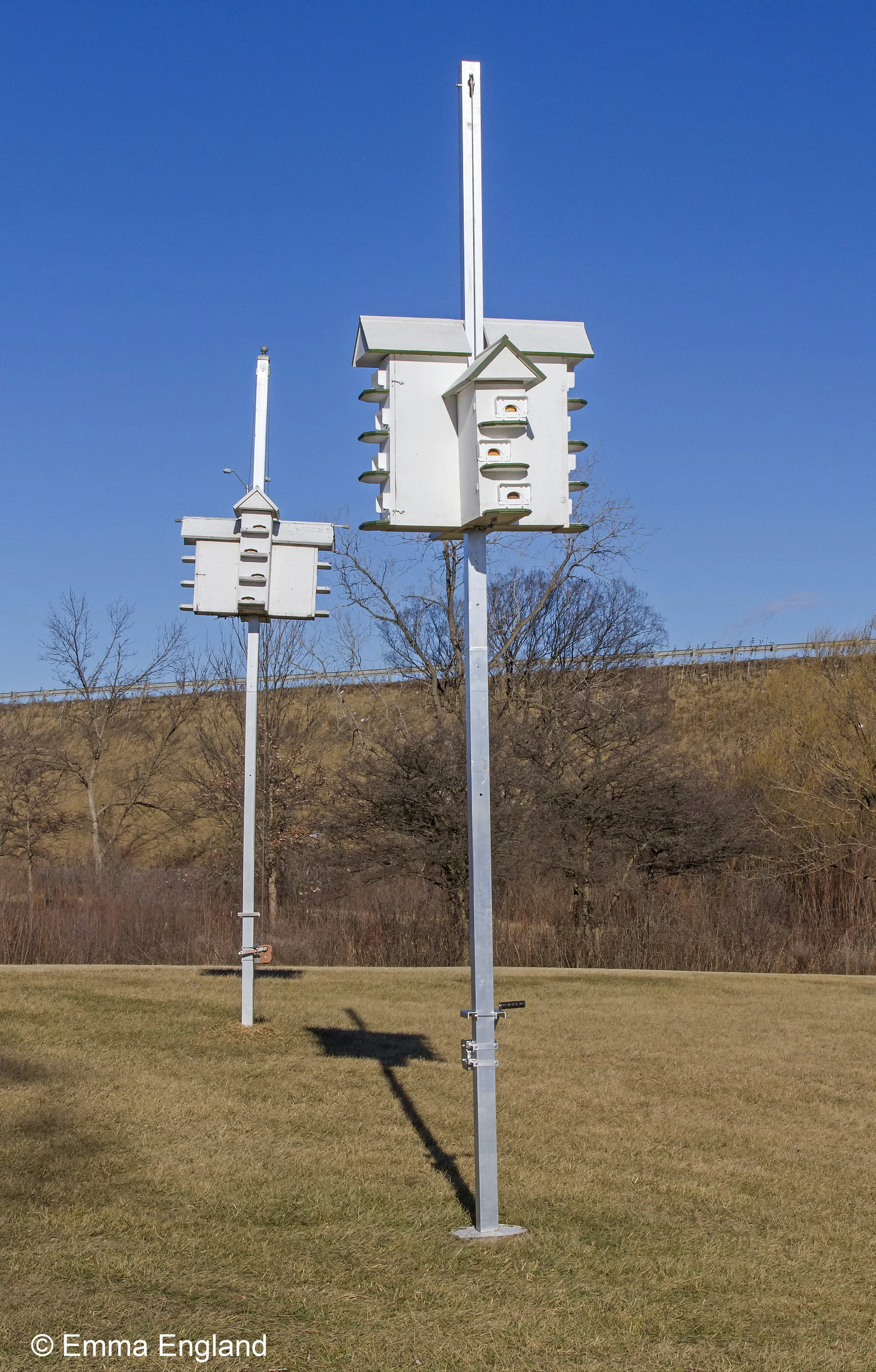 Purple Martin house installation