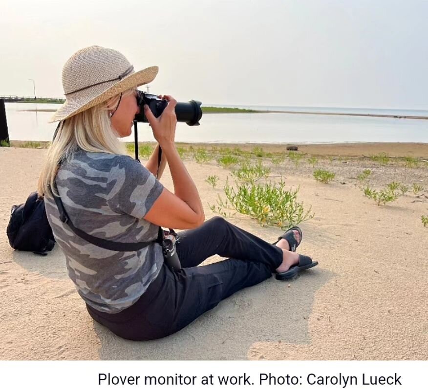 Want to shake it up a little? Learn new things? Meet some friendly folks? We've got just the thing-- become a Great Lakes Piping Plover helper! Find out what it's all about and attend our training event on Sunday, April 14 @1:00 p.m. at beautiful Wau