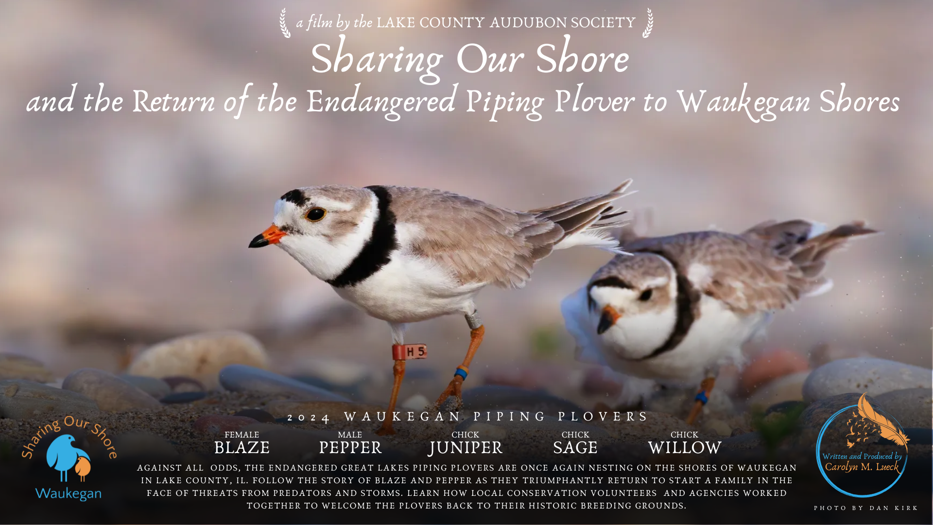Movie Screening at Waukegan History Museum at the Carnegie
