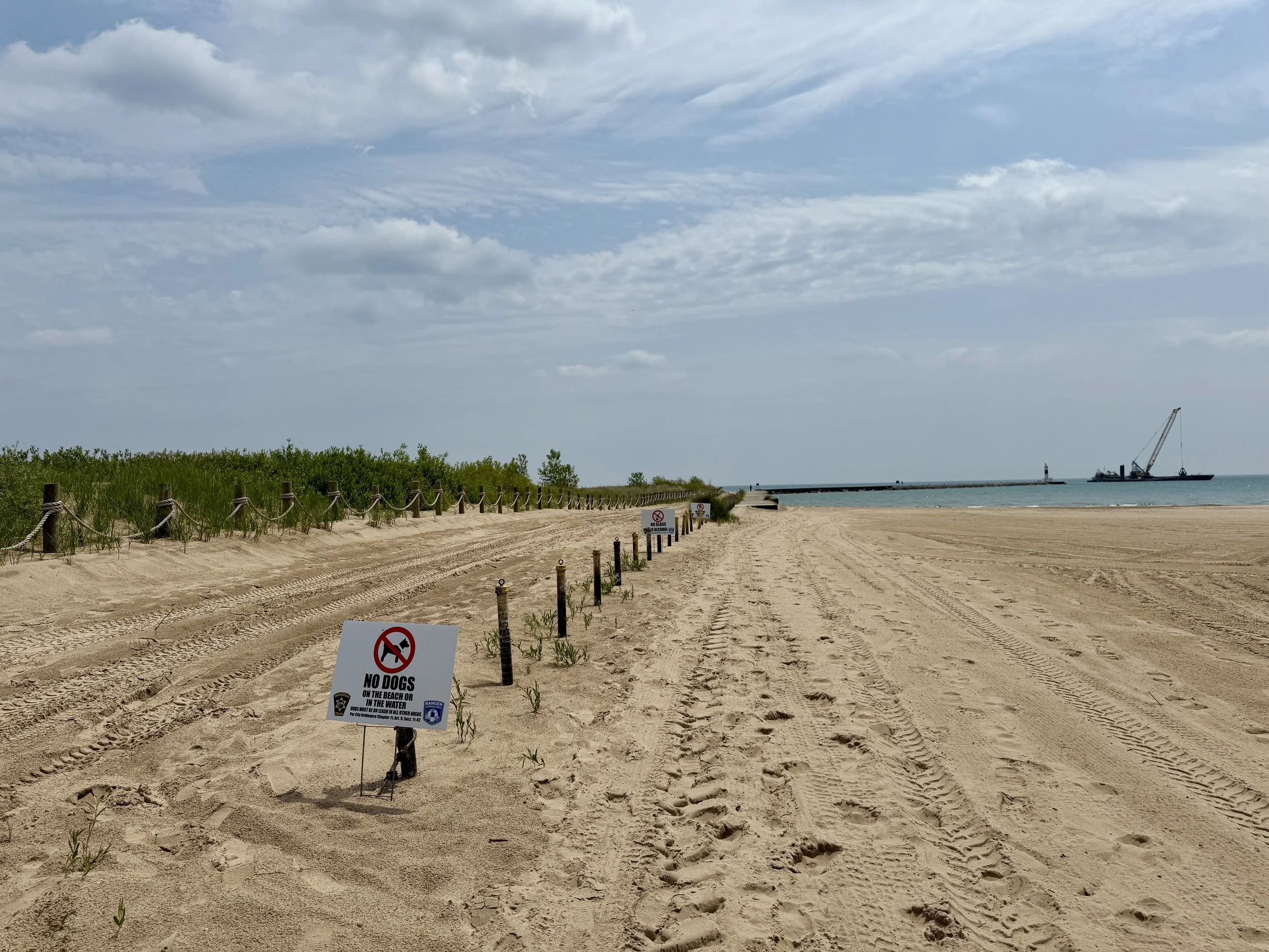Earth Day Beach Cleanup at Waukegan Beach