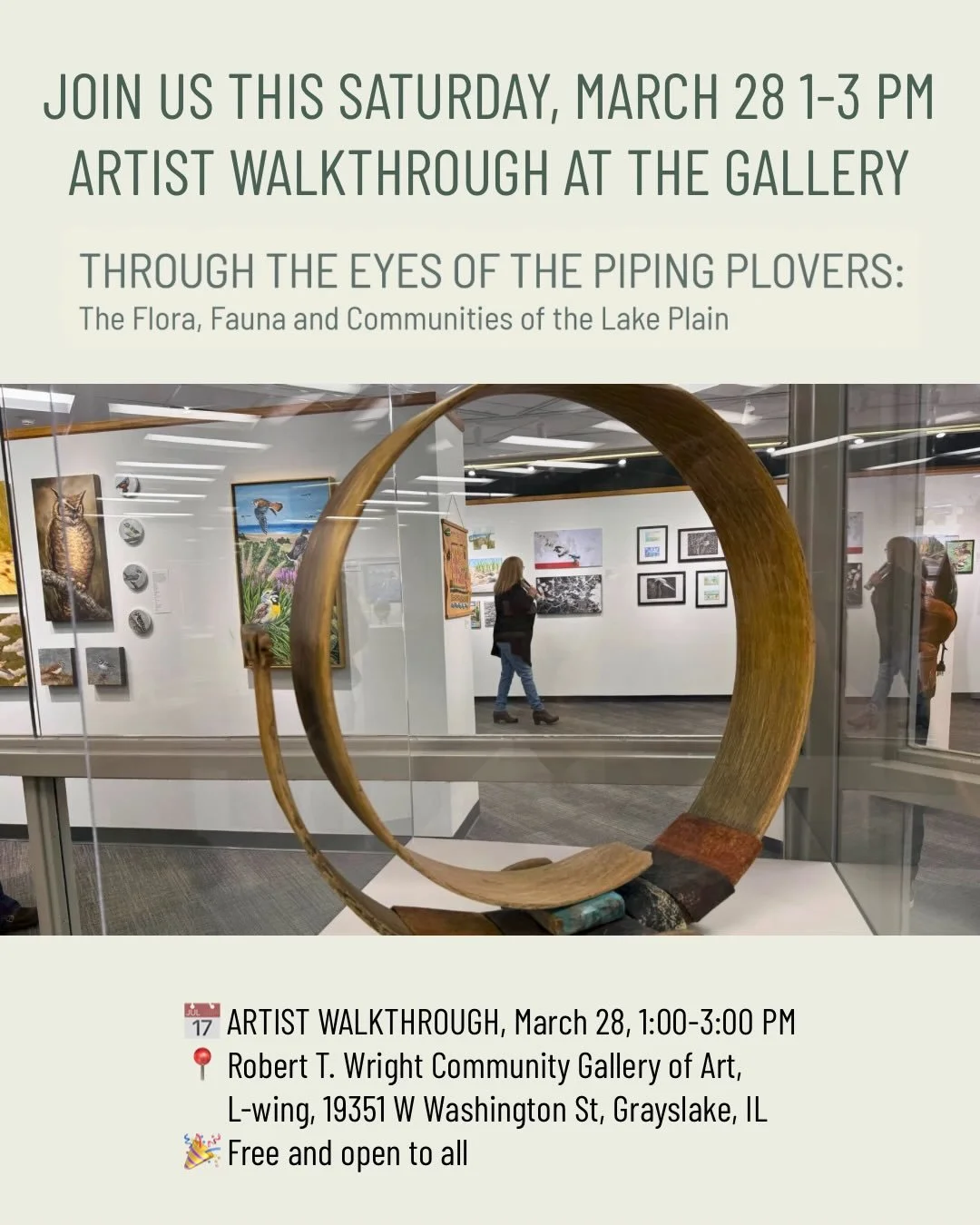 Join us in the final days of the exhibition!

What began as an idea - to share the story of the piping plovers, the Lake Michigan shoreline, and the community that has come together around them - has grown into something truly special. Through art, w