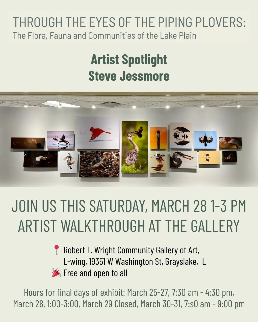 As we head into the final days of the exhibition, we&rsquo;re taking a moment to highlight the work of photographer Steve Jessmore. @sjessmo 

Steve&rsquo;s images capture what he describes as &ldquo;Birds Doing Stuff&rdquo;&hellip; quiet, often flee