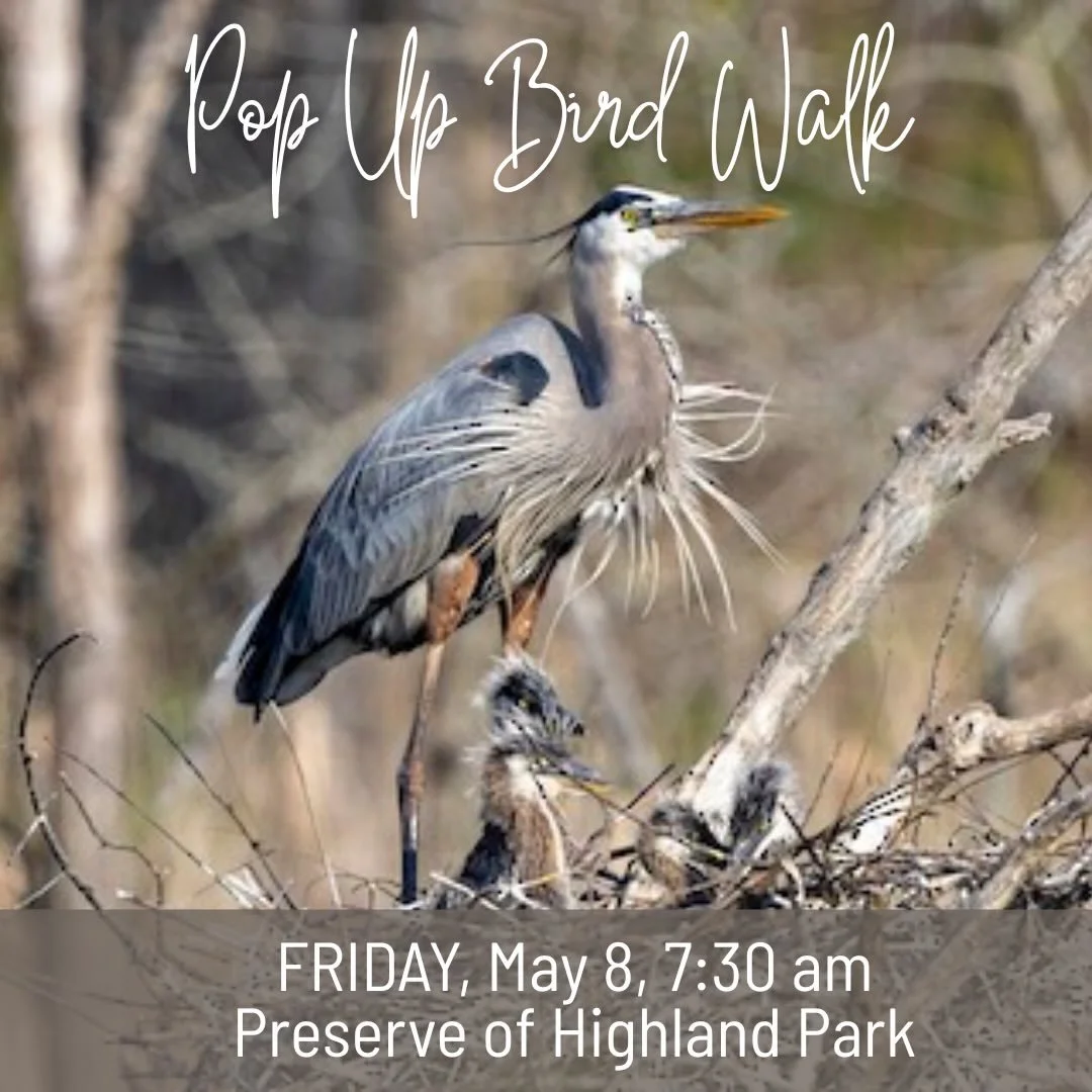 🌿🪶 POP-UP BIRD WALK THIS FRIDAY! 🪶🌿

Join Lake County Audubon this Friday, May 8 from 7:30&ndash;10:00 AM for a special guided bird walk with Matt Tobin at one of Lake County&rsquo;s outstanding migration hotspots!

A highlight of this preserve i