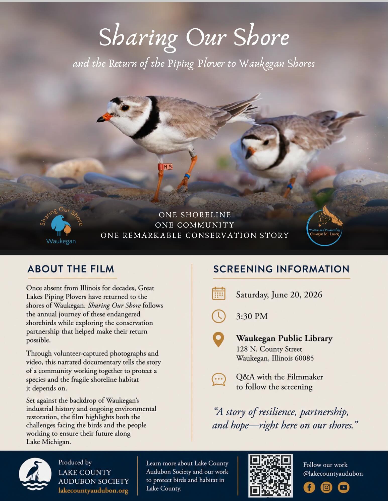 🎬 We are proud to have Sharing Our Shore and the Return of the Piping Plover to Waukegan Shores selected for the 2026 Little Fort Film Festival!

This UPDATED VERSION of the film tells the remarkable story of the Great Lakes Piping Plover&rsquo;s re