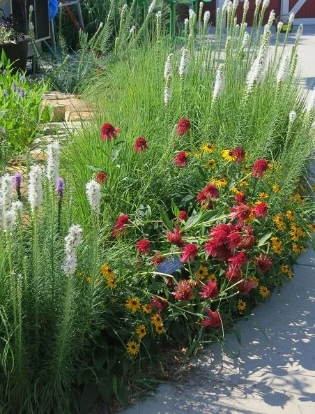 Prairie Crossing Native Garden Walk