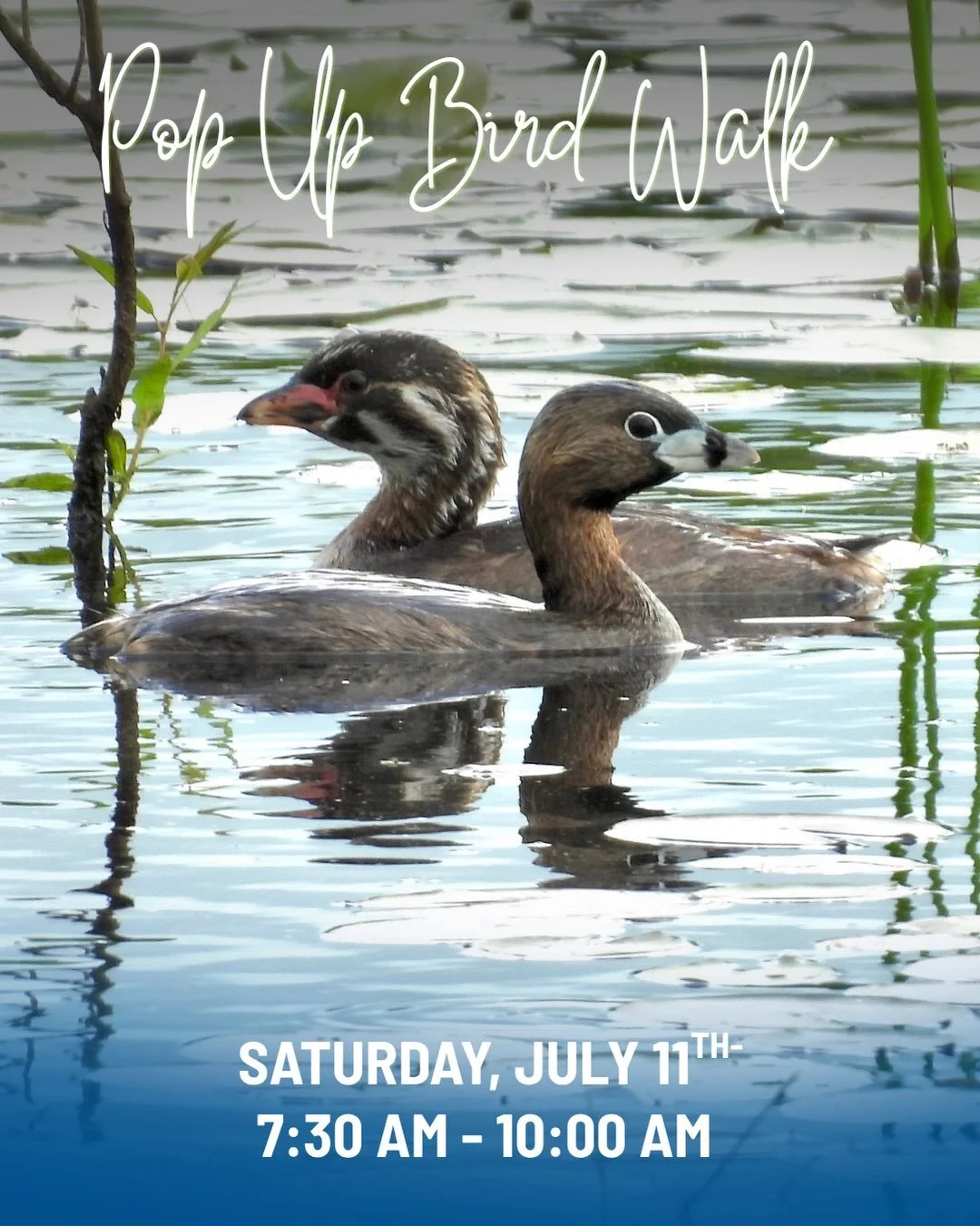 Looking for an excuse to get outside on a beautiful summer morning? Join us this Saturday, July 11, from 7:30&ndash;10:00 a.m. as we explore one of Lake County&rsquo;s natural gems - Pine Dunes Forest Preserve.

REGISTRATION LINK IN BIO

Mid-July is 