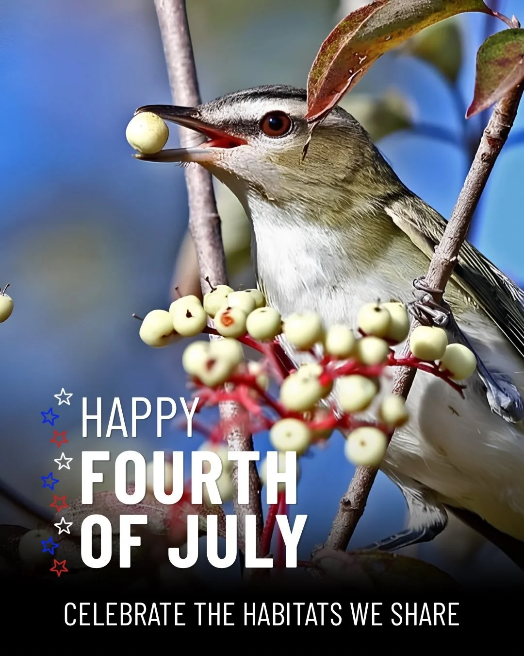 As we celebrate Independence Day, we&rsquo;re also celebrating the habitats that make Lake County such a special place for both people and birds. Native trees, shrubs, grasses, and wildflowers provide food, shelter, and nesting habitat while supporti