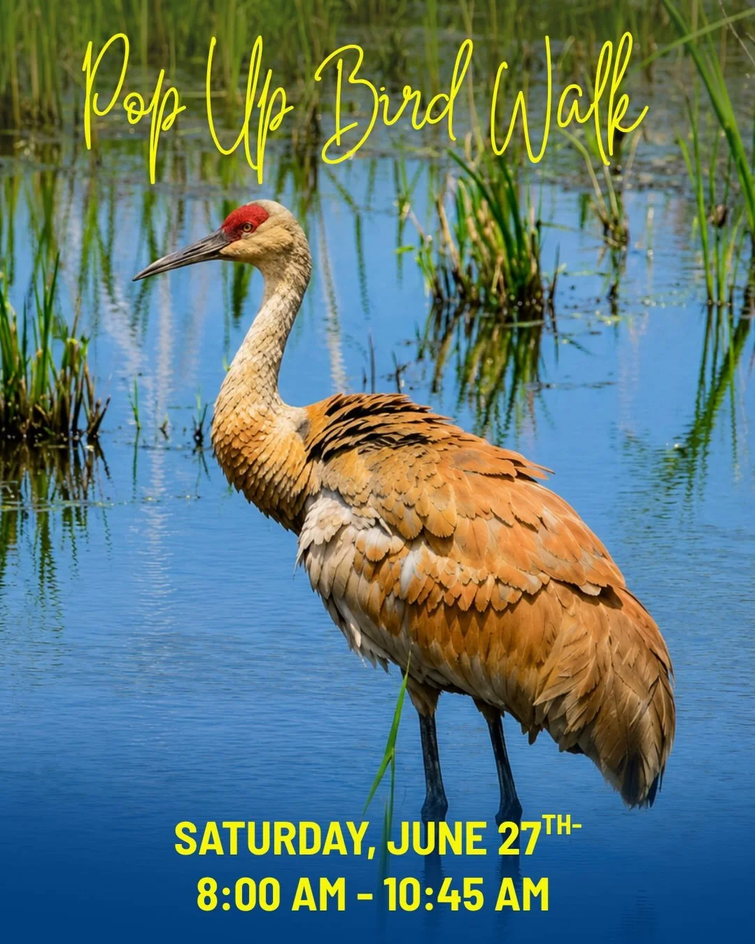 Join us on Saturday, June 27, from 8:00&ndash;10:45 a.m. for a bird and nature walk at Volo Bog, one of Illinois&rsquo; most distinctive natural areas.

Volo Bog is home to Illinois&rsquo; only open-water quaking bog and supports an incredible divers