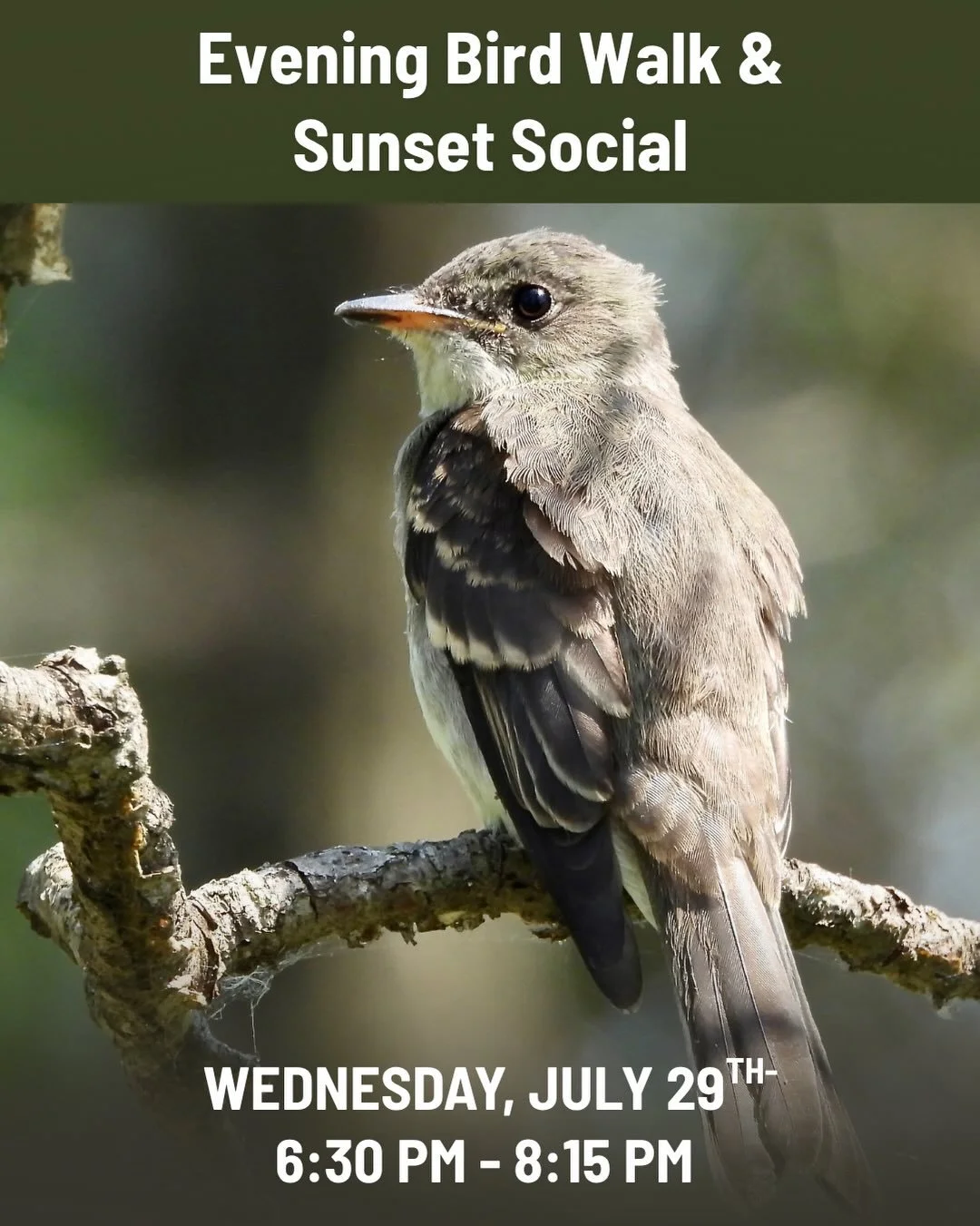 🌅 Spend your Wednesday evening surrounded by birds, nature, good company, and a beautiful Lake County sunset.

There&rsquo;s something special about being outdoors as the day begins to wind down. The light softens, birds become active again, and nat