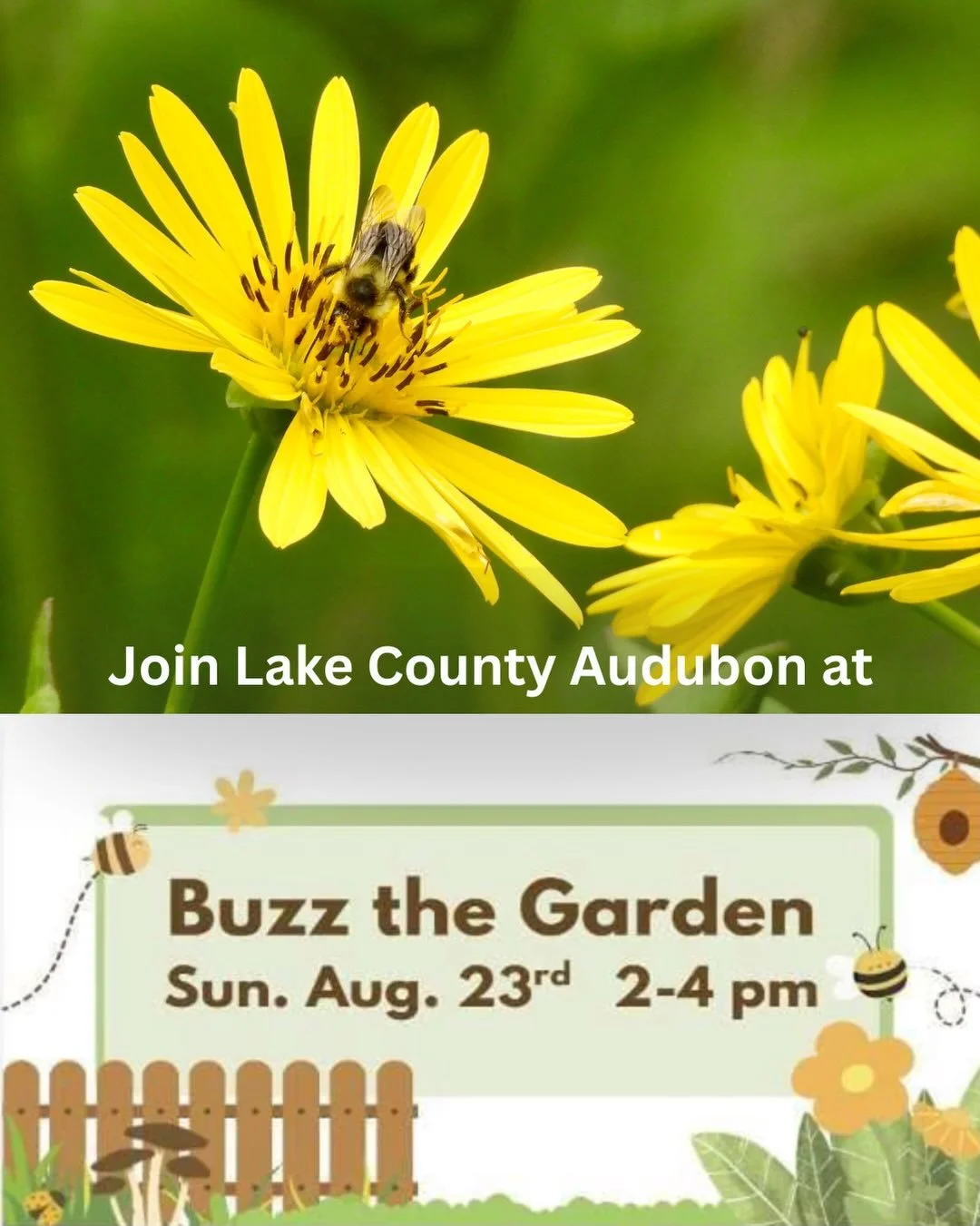 🐦🦋 Buzz the Garden with us! 🌼🐝

Join Lake County Audubon Society at Deerfield Historic Village on Sunday, August 23 from 2&ndash;4 PM for an afternoon celebrating native plants, birds, pollinators, and the habitats they share!

LCAS was pleased t
