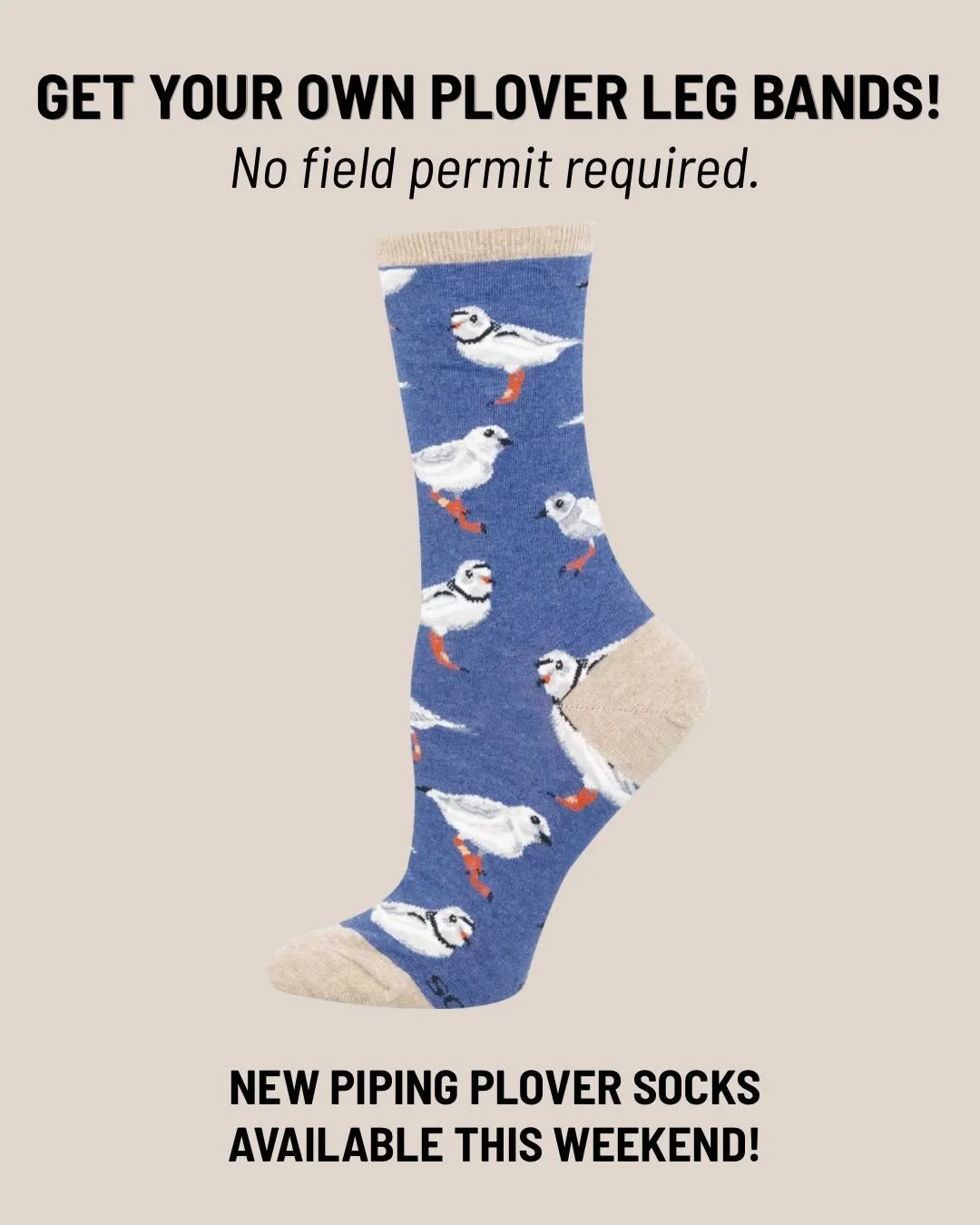 🧦 THEY&rsquo;VE LANDED!

Back in the winter of 2024, we reached out to Socksmith with a question: Why weren&rsquo;t there socks celebrating Great Lakes Piping Plovers?

After more than a year of working with the wonderful team at Socksmith through d