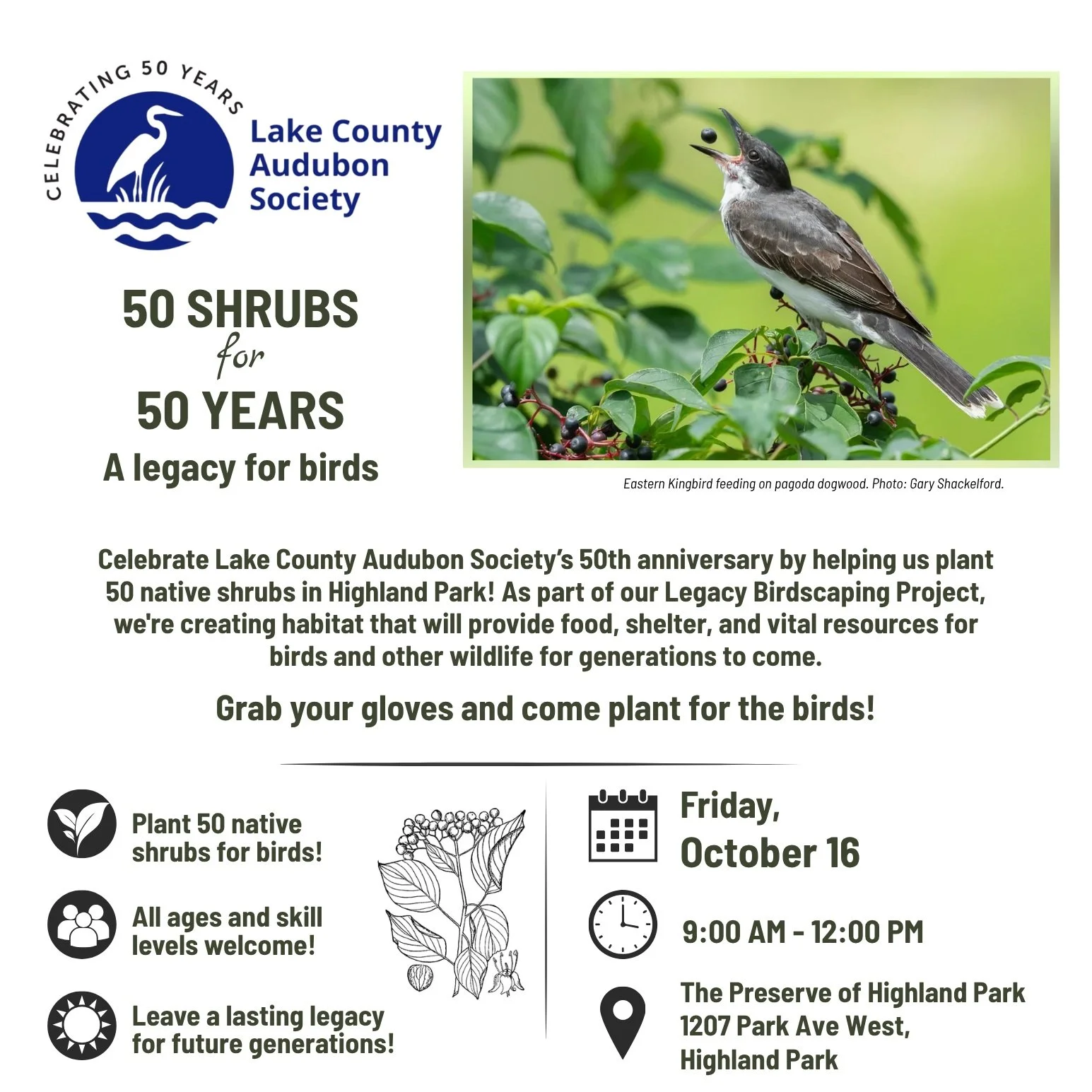 50 Shrubs for 50 Years! 🌿🐦

As Lake County Audubon Society celebrates our 50th anniversary, we&rsquo;re marking the milestone by doing what we love most: creating more habitat for birds!

Join LCAS and the Park District of Highland Park at The Pres
