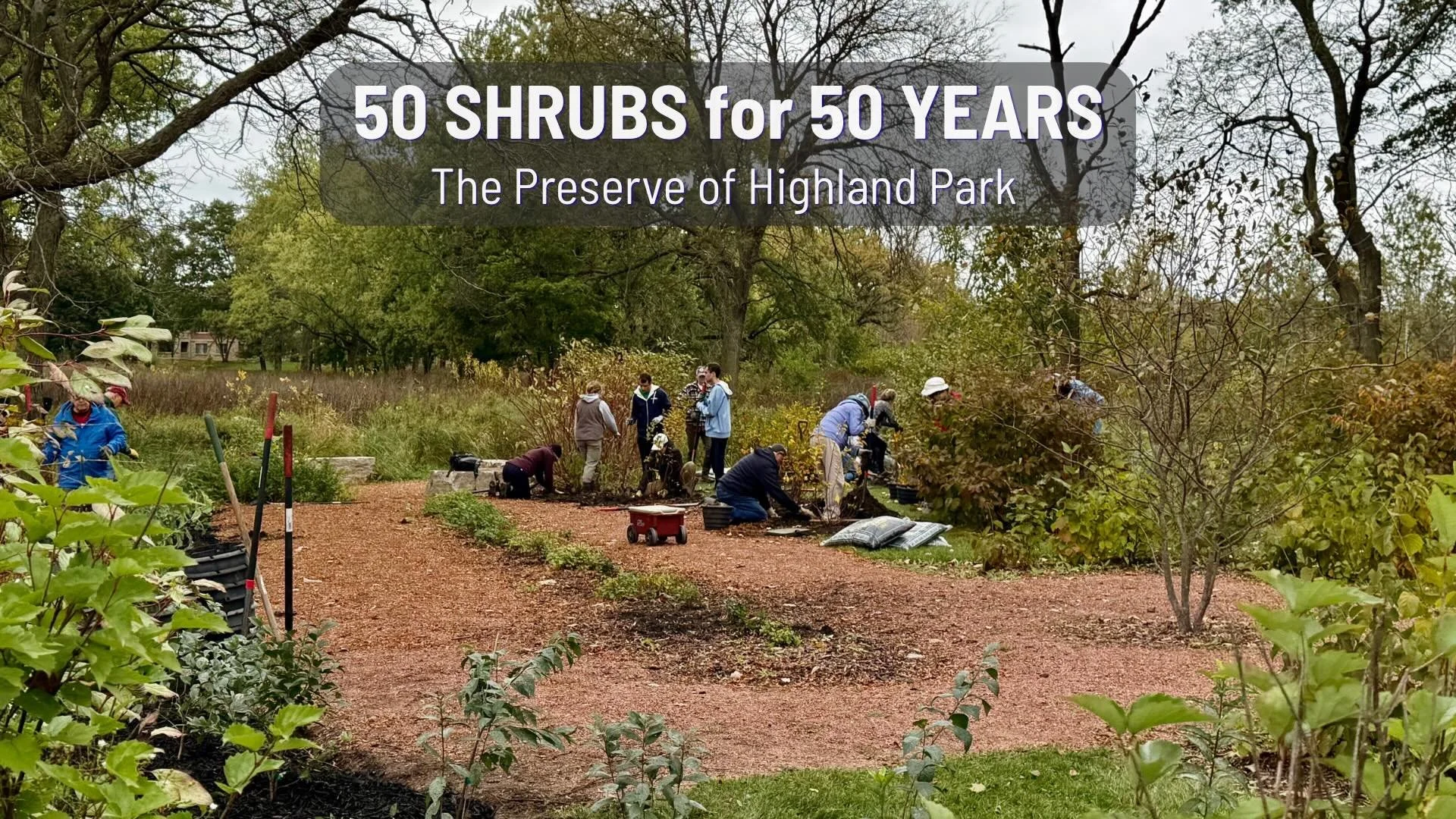 🌿 50 SHRUBS FOR 50 YEARS PLANTED TODAY! 🐦&zwj;⬛

What a wonderful way to celebrate Lake County Audubon Society&rsquo;s 50th anniversary!

Today, an incredible group of volunteers came together at The Preserve of Highland Park to plant 59 native tre
