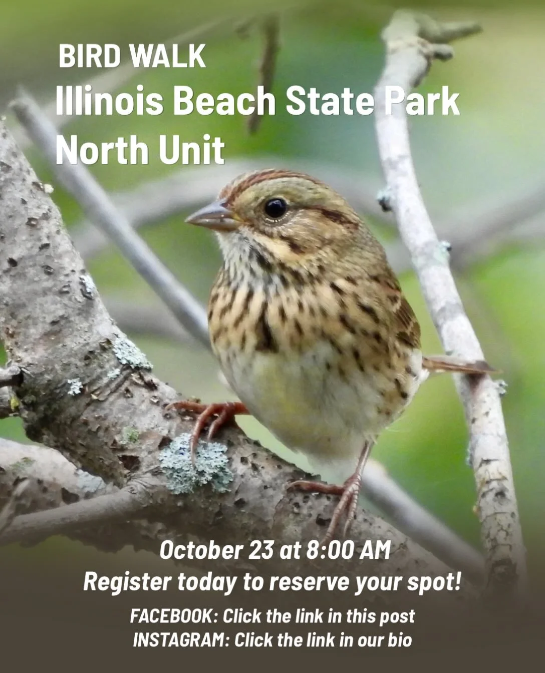 🐦&zwj;⬛ FALL MIGRATION ISN&rsquo;T OVER YET!

🍂 Join Lake County Audubon Society this Friday, October 23, for a bird walk at Illinois Beach State Park, North Unit!

Don&rsquo;t miss your chance to catch late fall migrants passing through and welcom