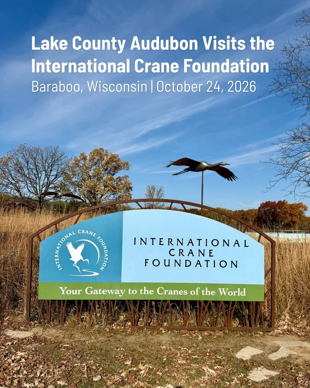This past Saturday, on a picture-perfect October day, Lake County Audubon Society board members traveled to Baraboo, Wisconsin, for a visit to the International Crane Foundation (ICF) to learn more about its efforts to protect some of the world&rsquo