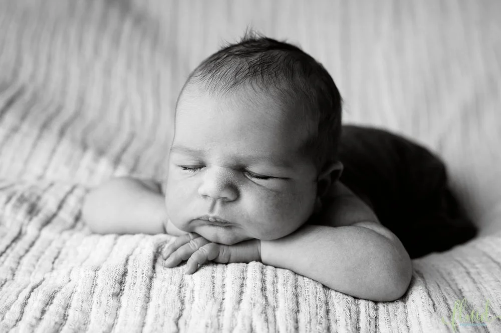 _FLD6822bw_resize.jpg