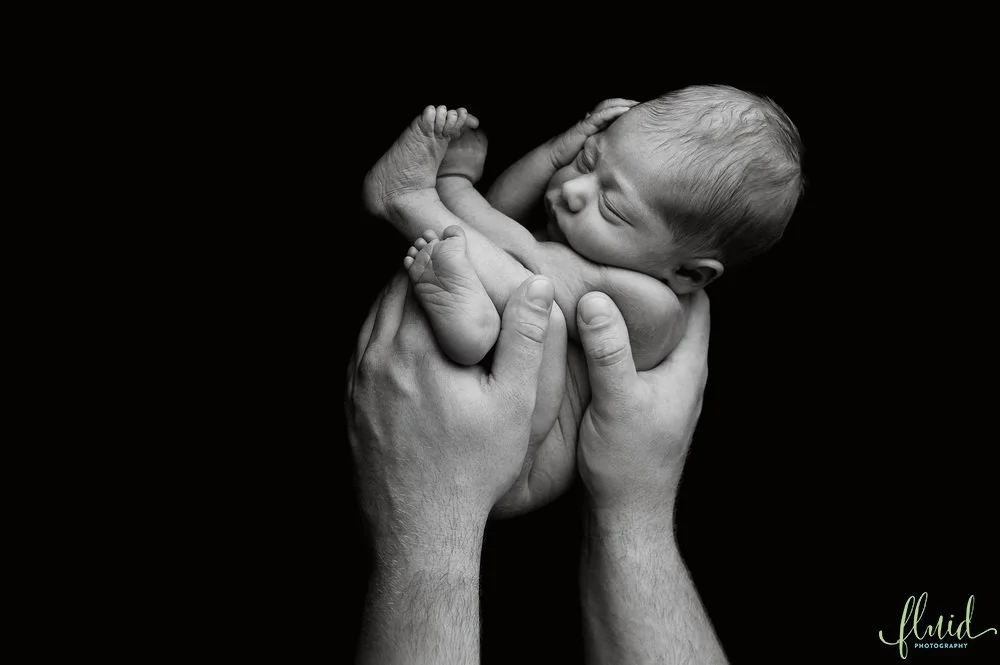 _FLD3183bw_resize.jpg